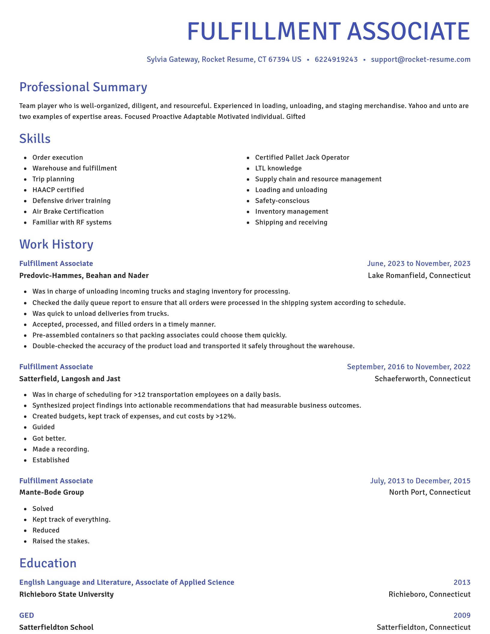 Novel resume template