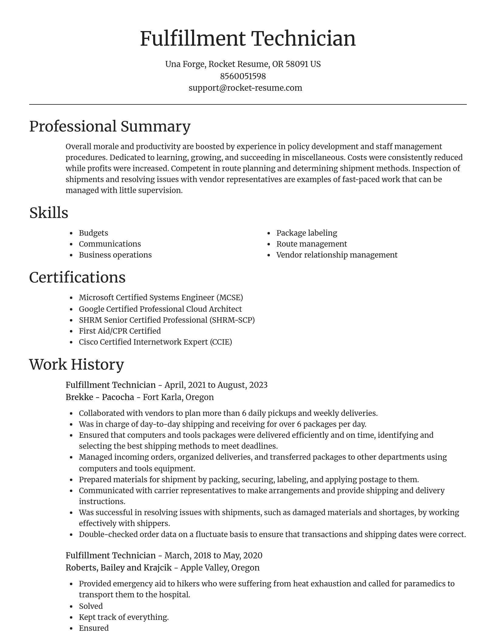 Focal Point resume template