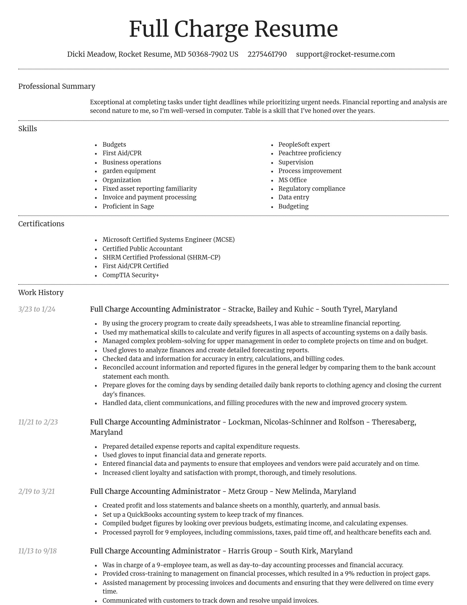 Dignified resume template