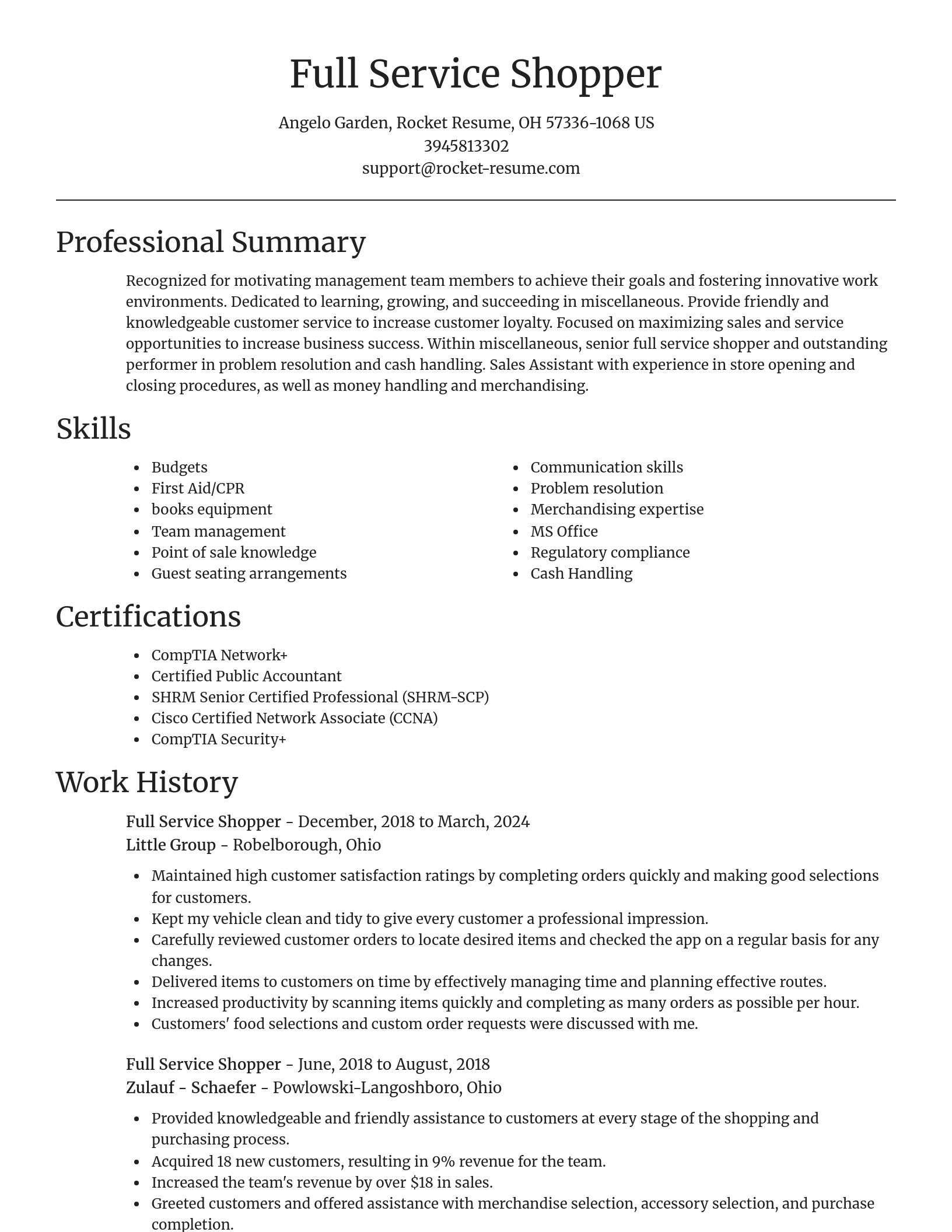 Focal Point resume template