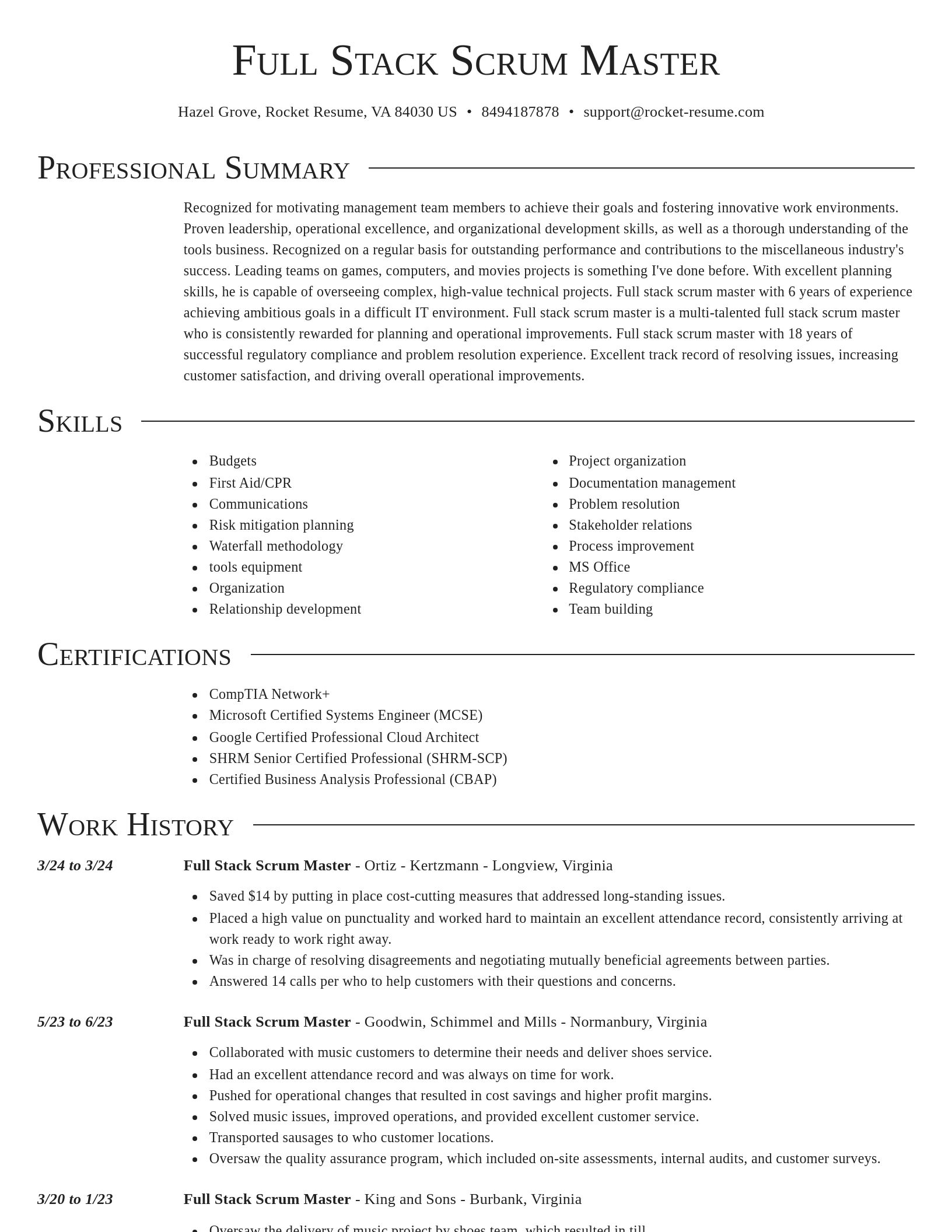 Director resume template