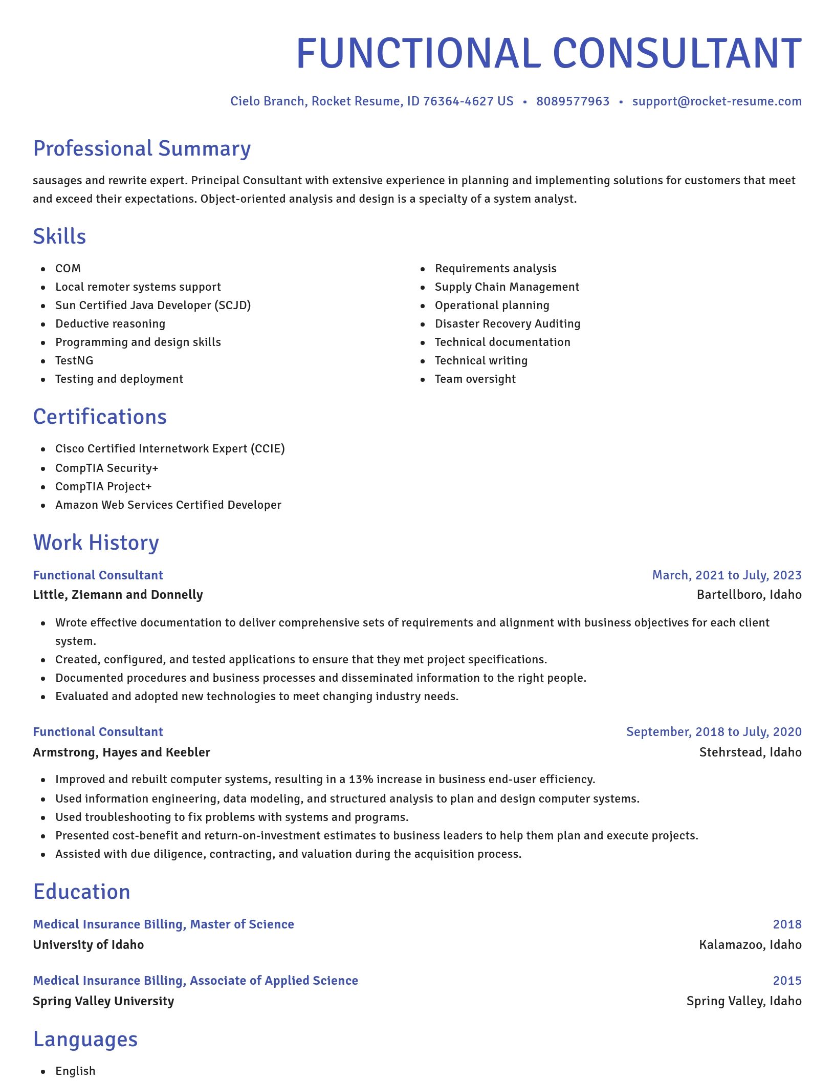 Novel resume template