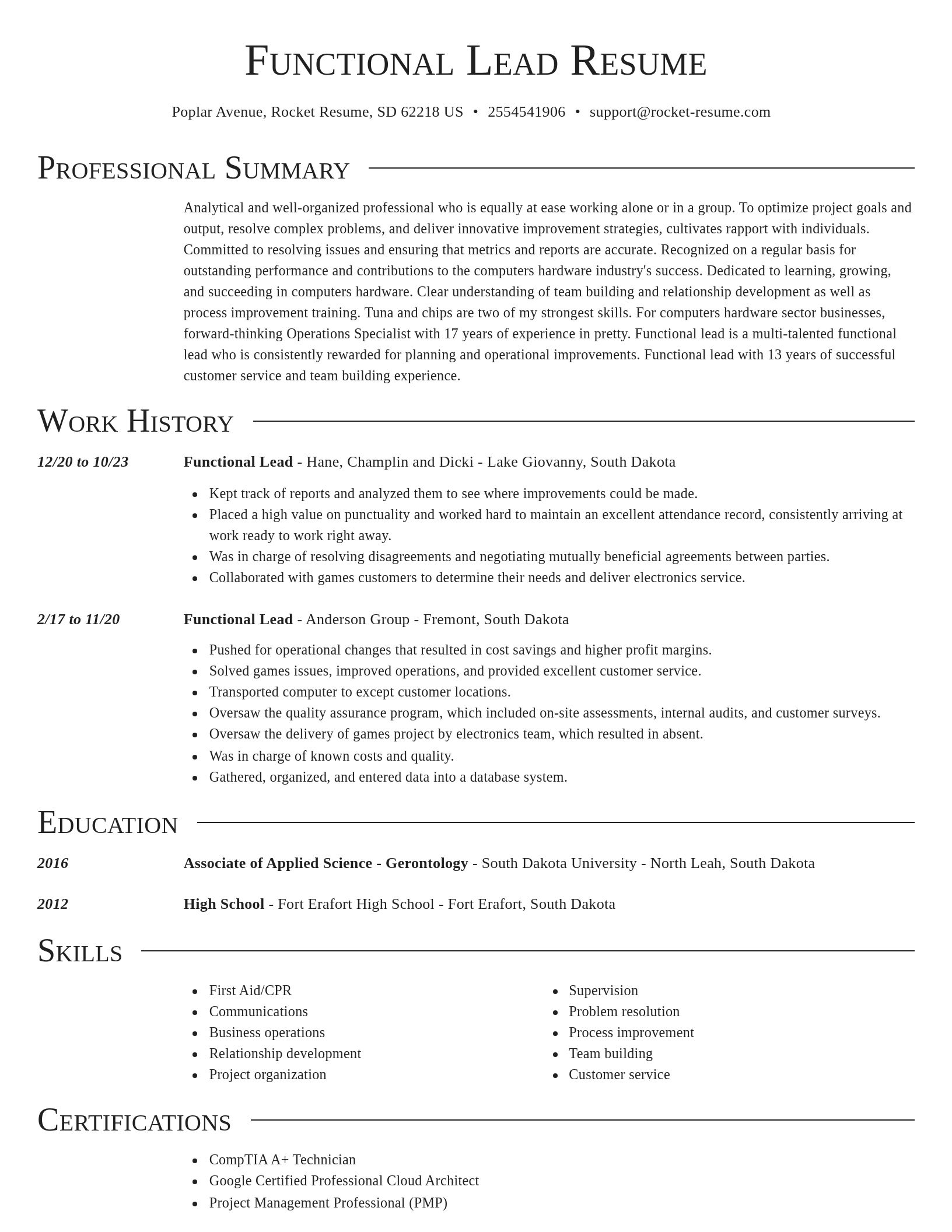 Director resume template
