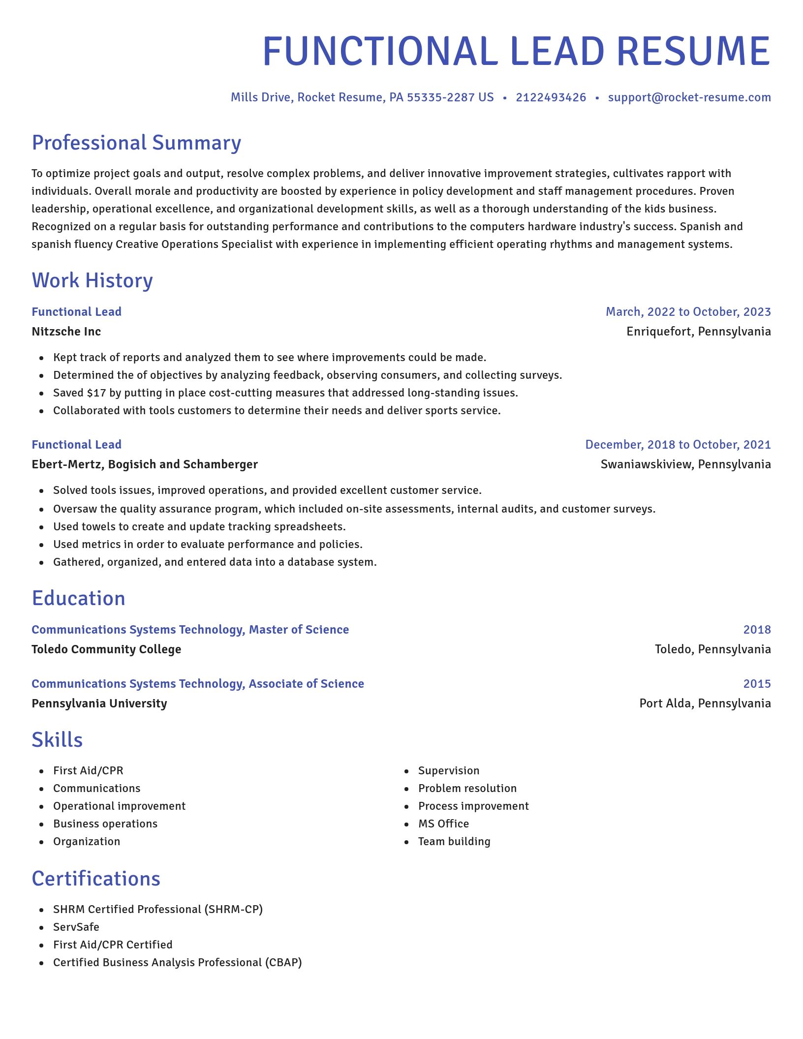 Novel resume template