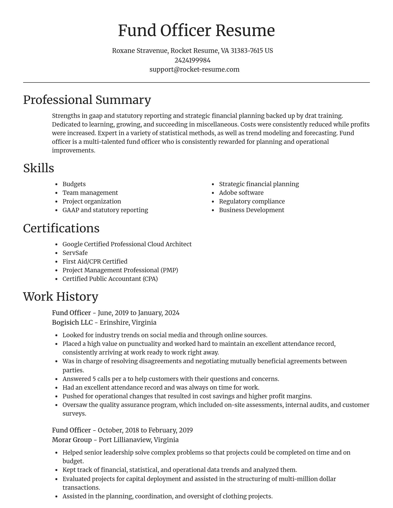 Focal Point resume template