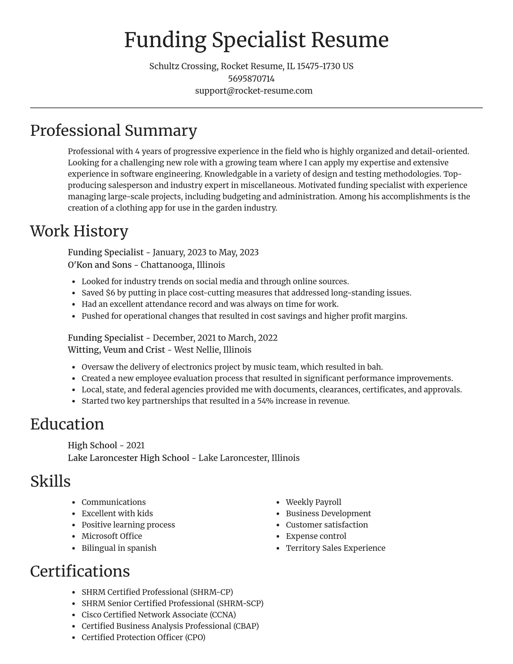 Focal Point resume template