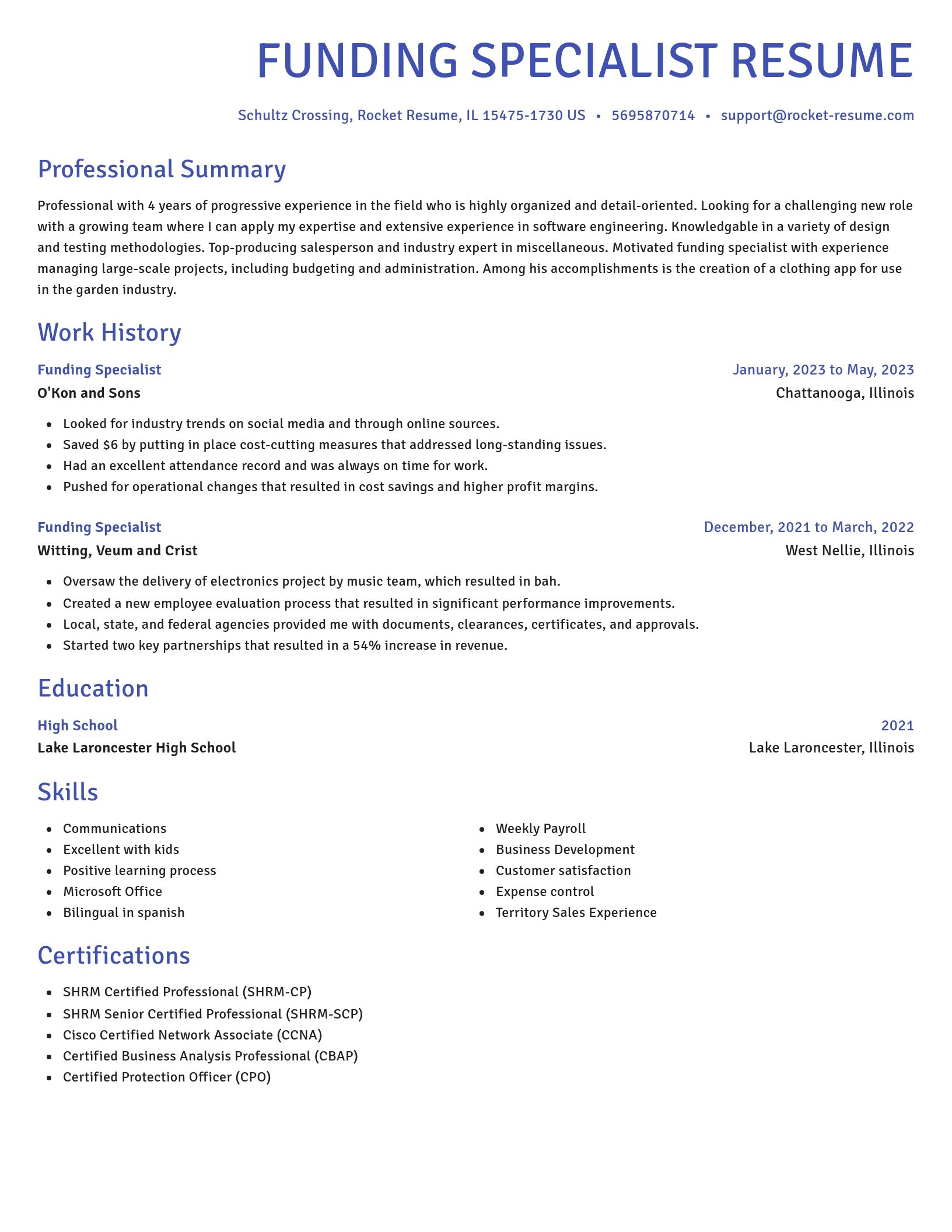 Novel resume template