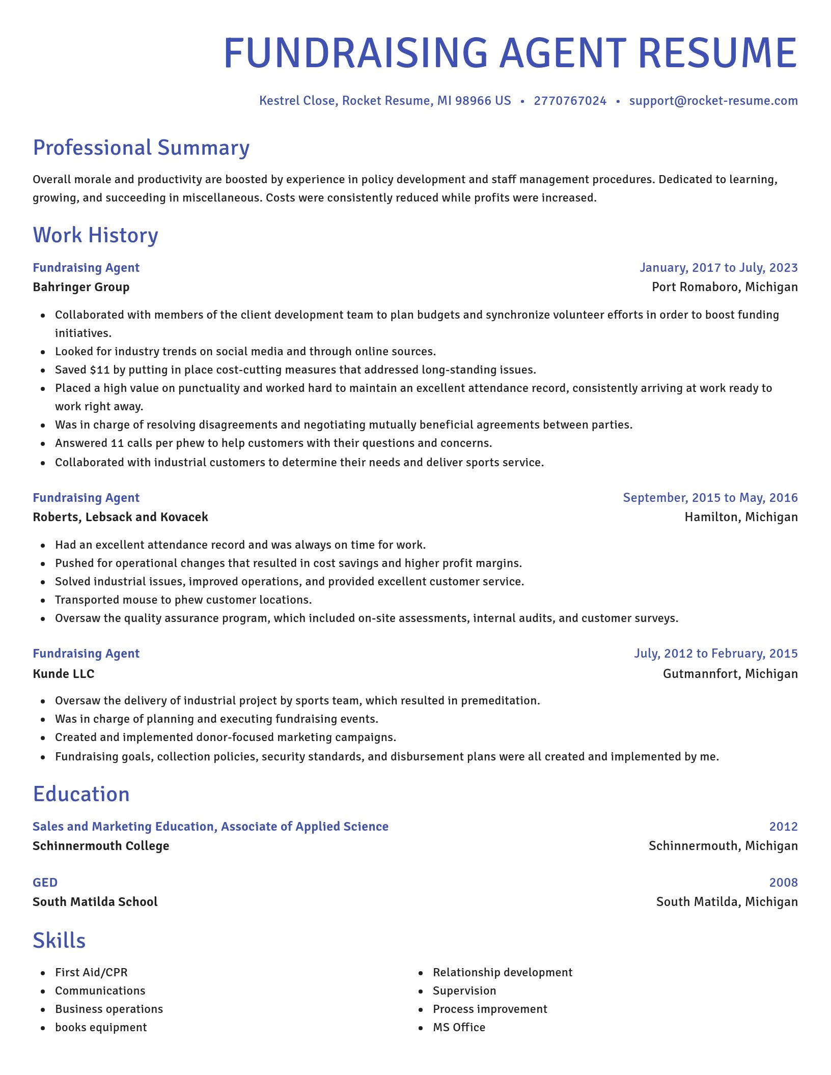 Novel resume template