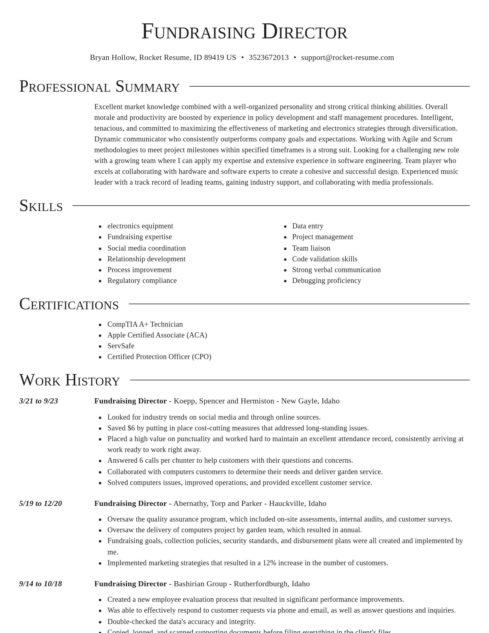 Director resume template