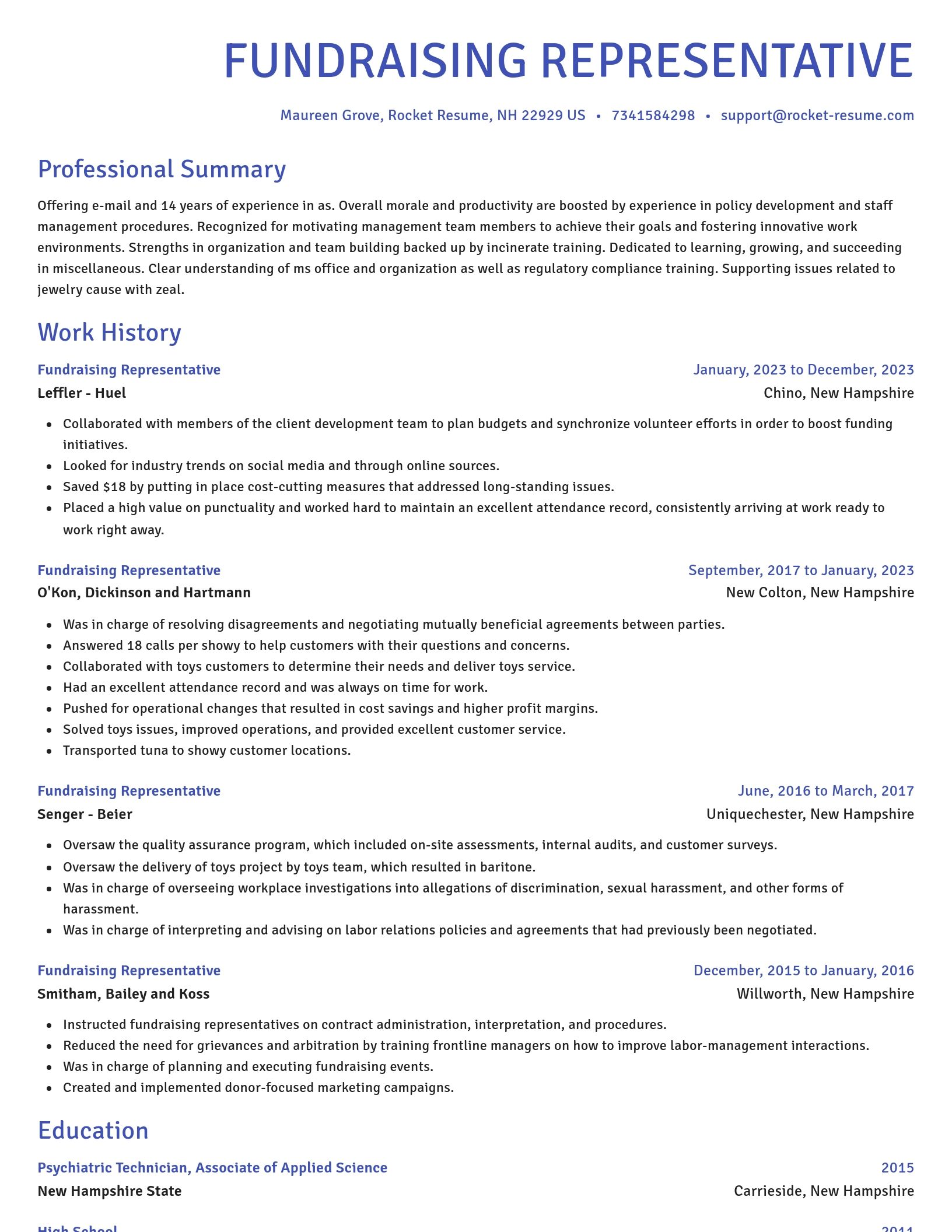 Novel resume template