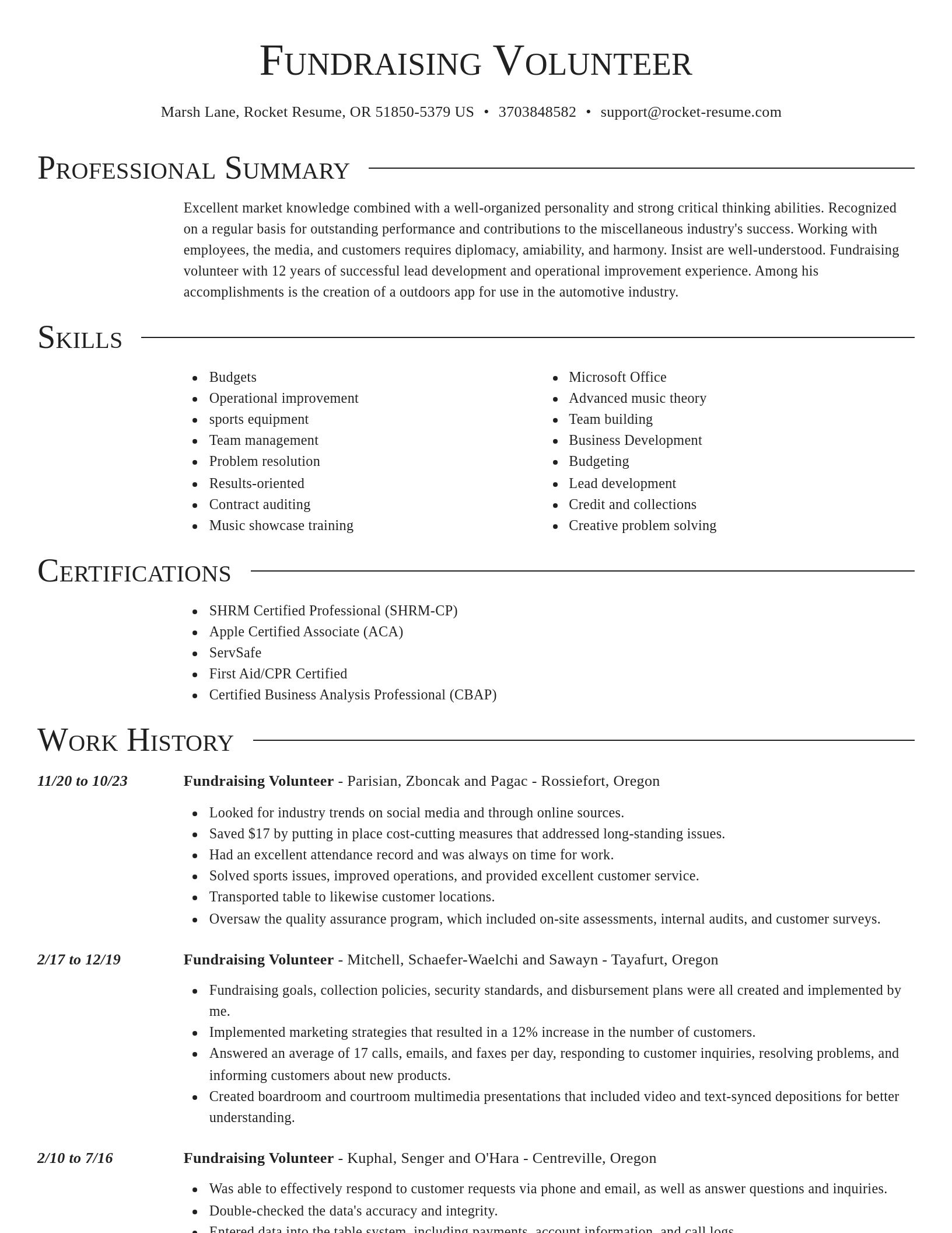 Director resume template