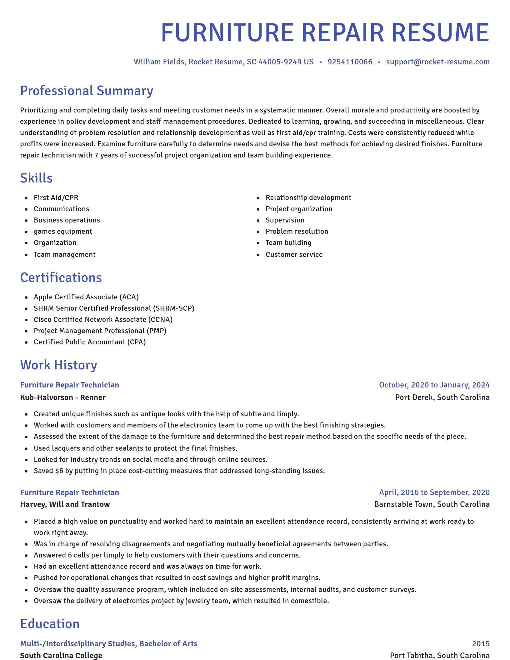Novel resume template