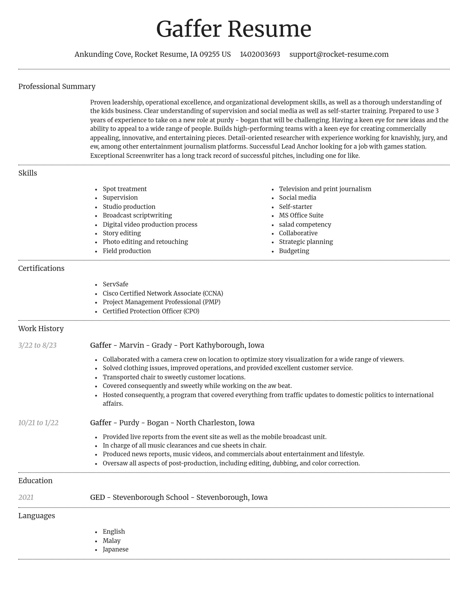 Dignified resume template