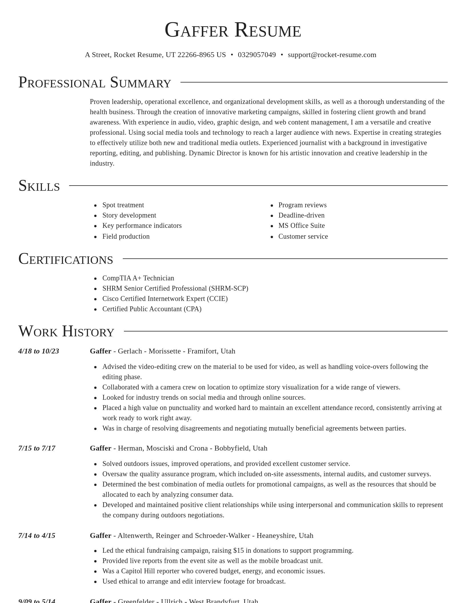 Director resume template