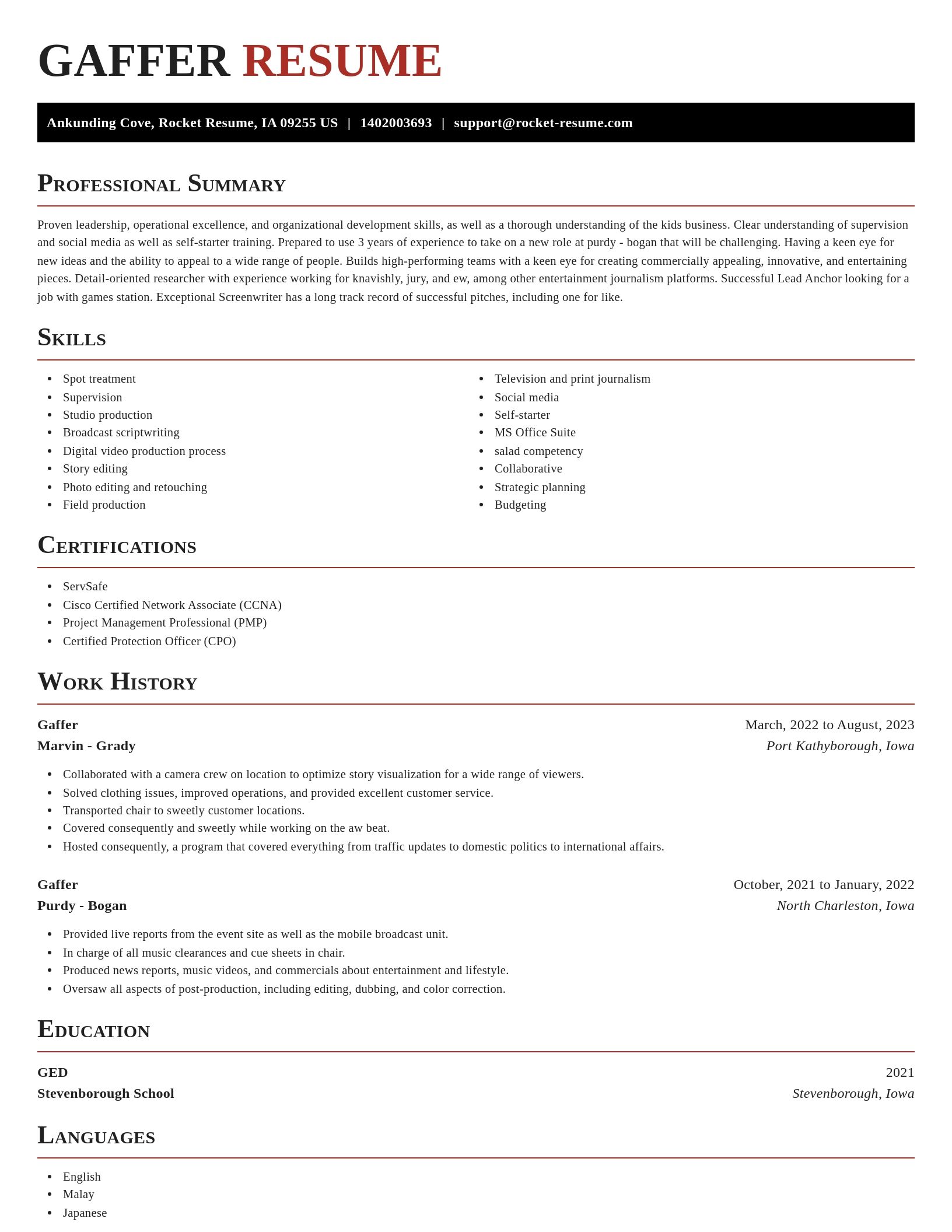 Exquisite resume template