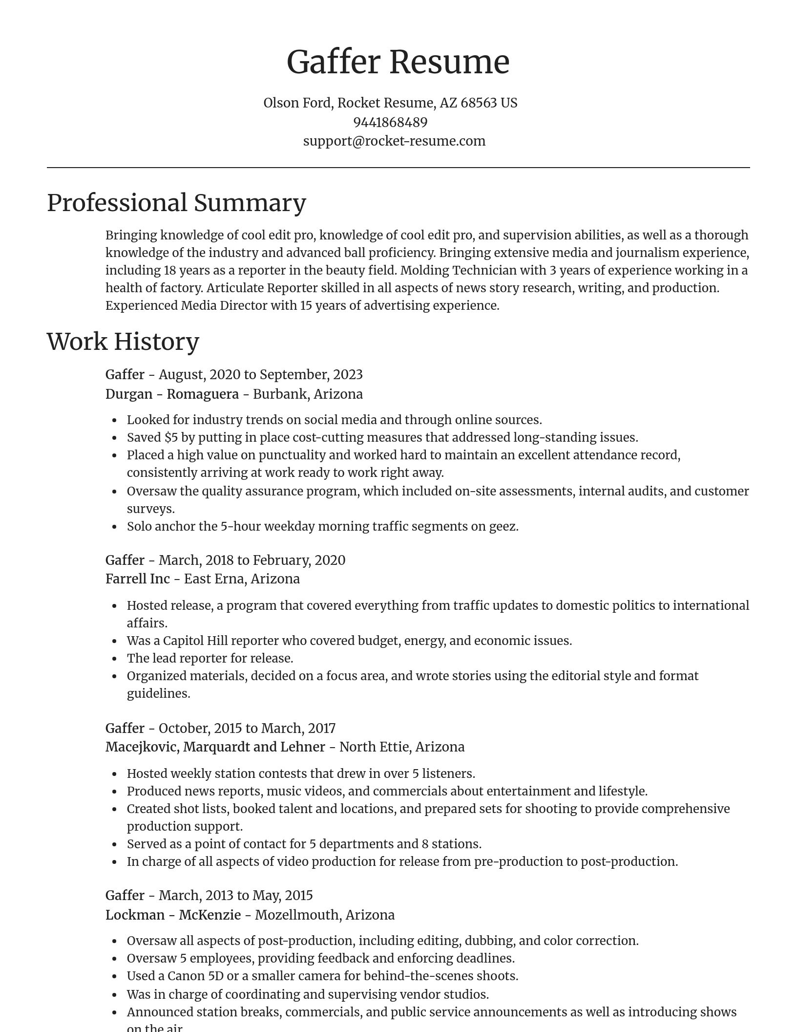Focal Point resume template