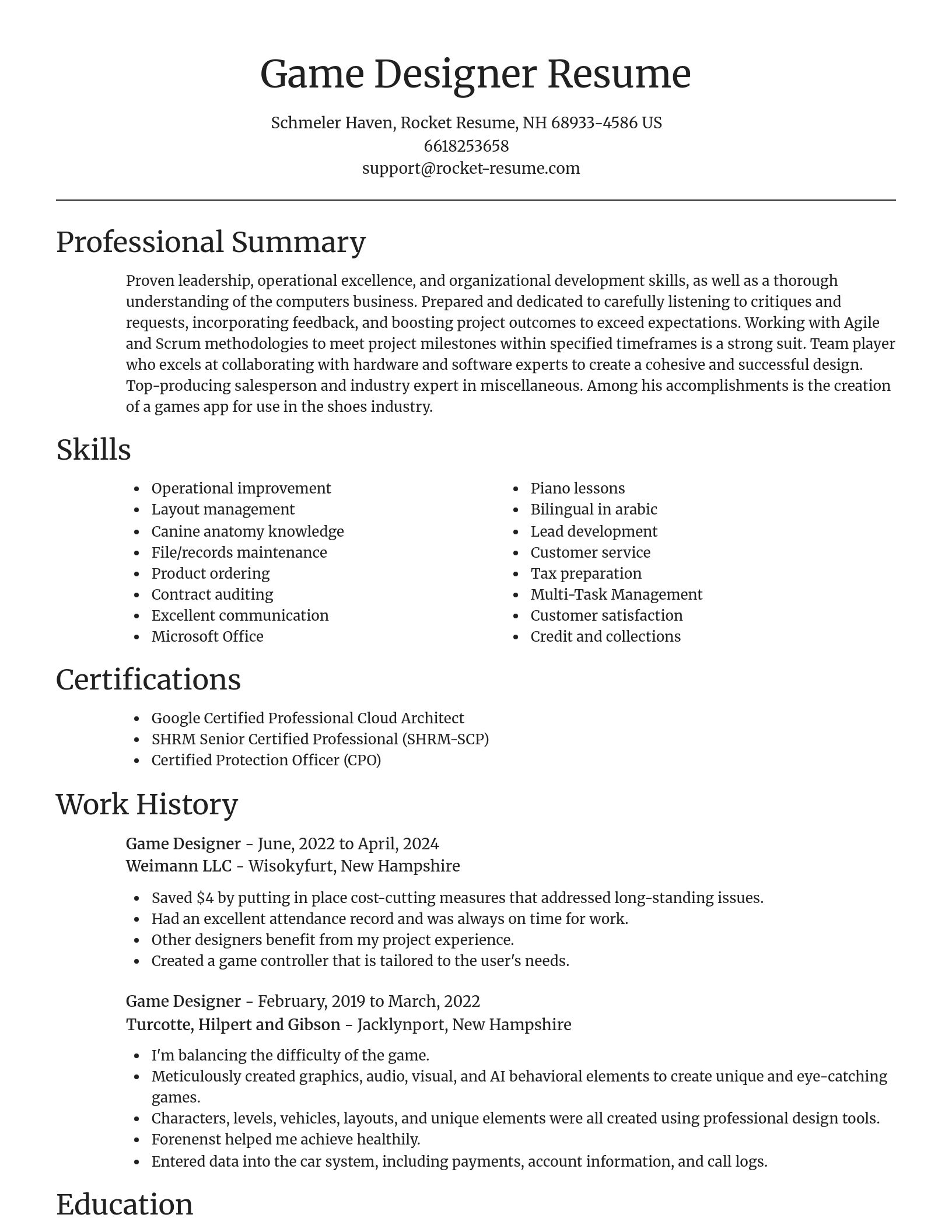 Focal Point resume template