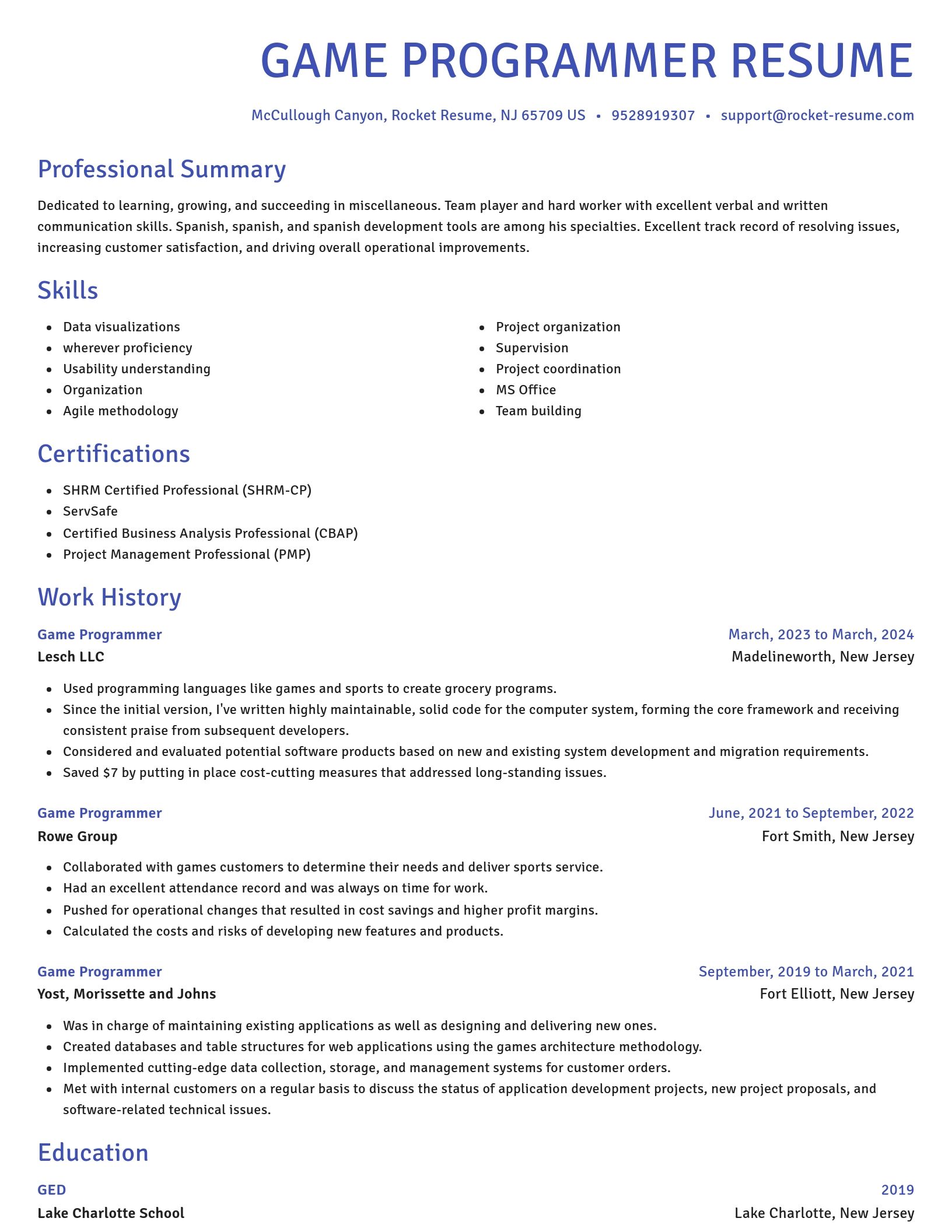 Novel resume template