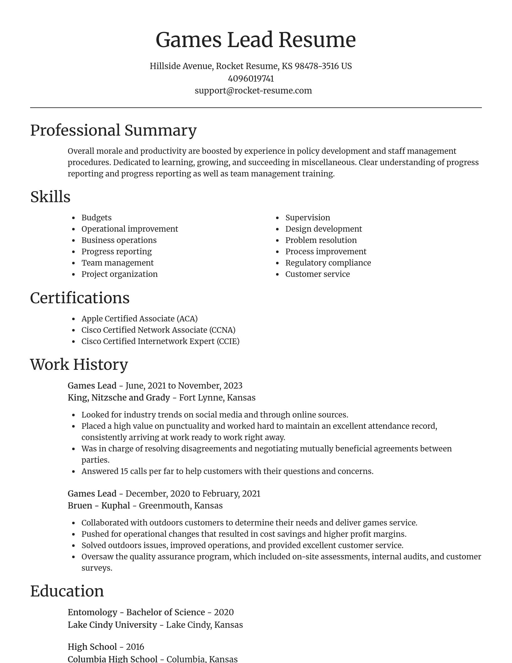 Focal Point resume template