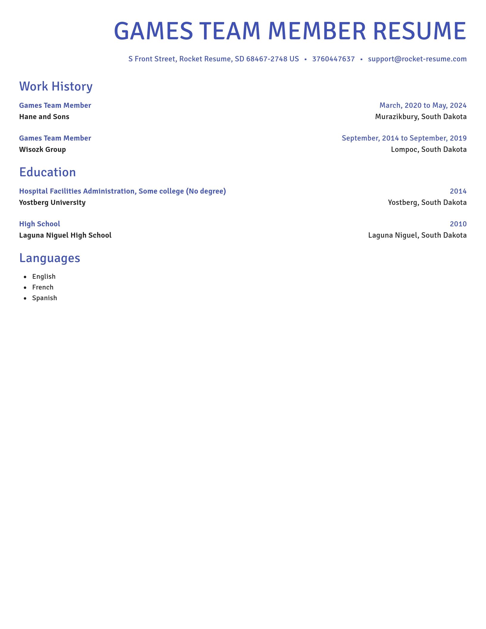 Novel resume template