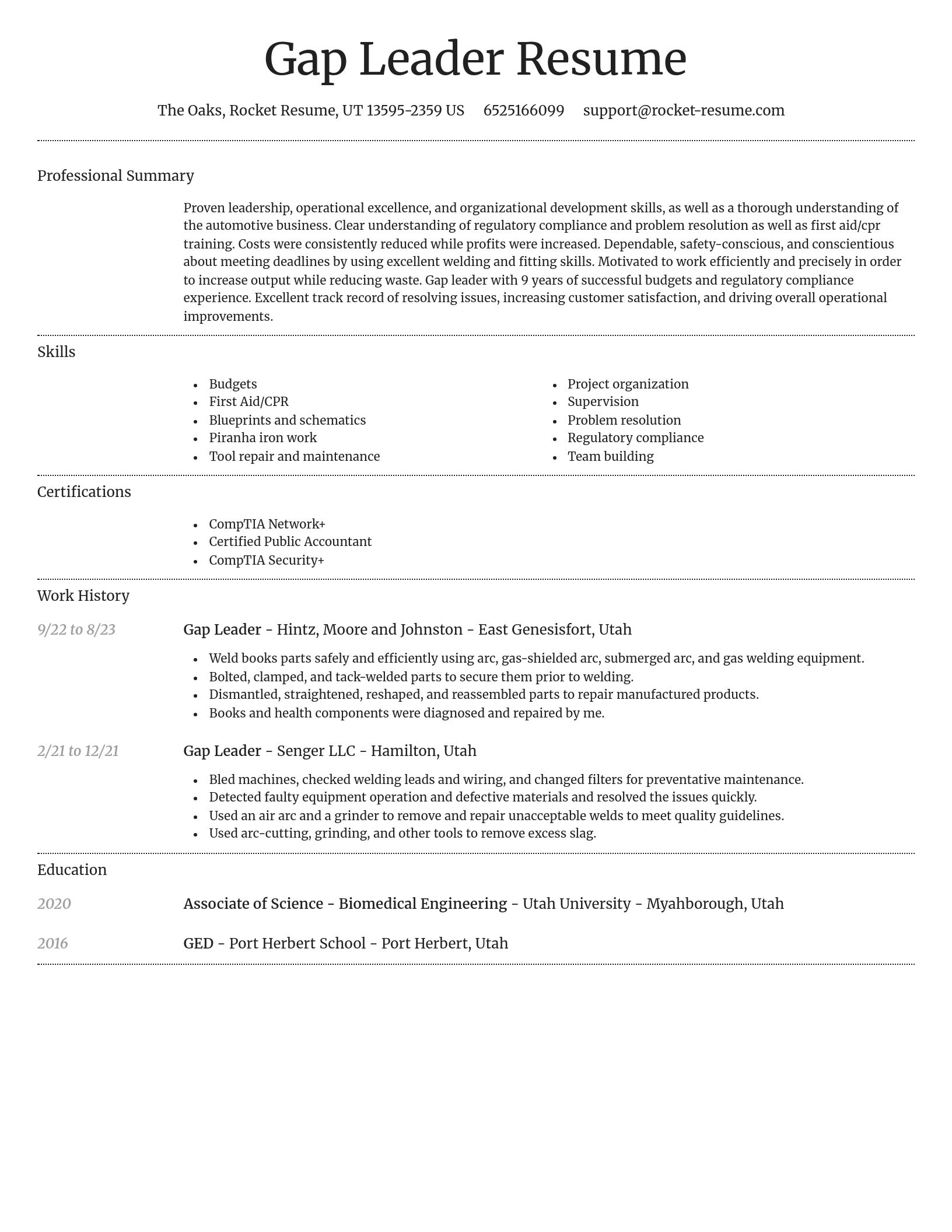 Dignified resume template