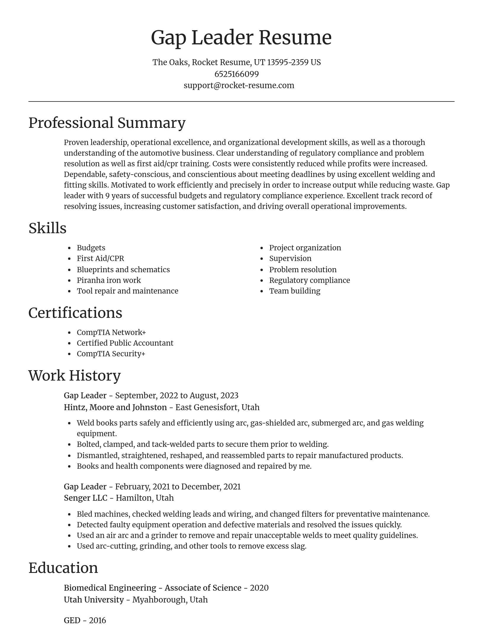 Focal Point resume template