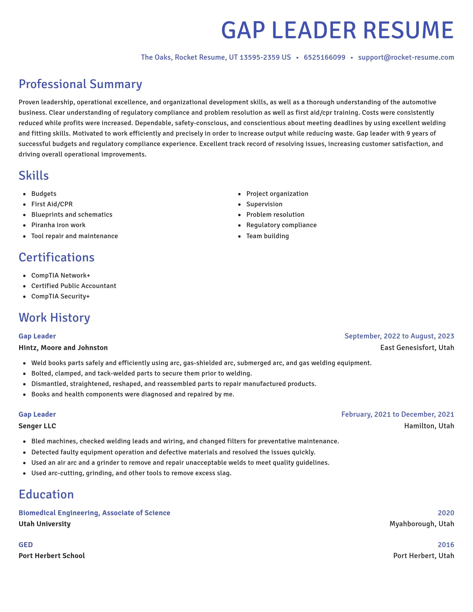 Novel resume template