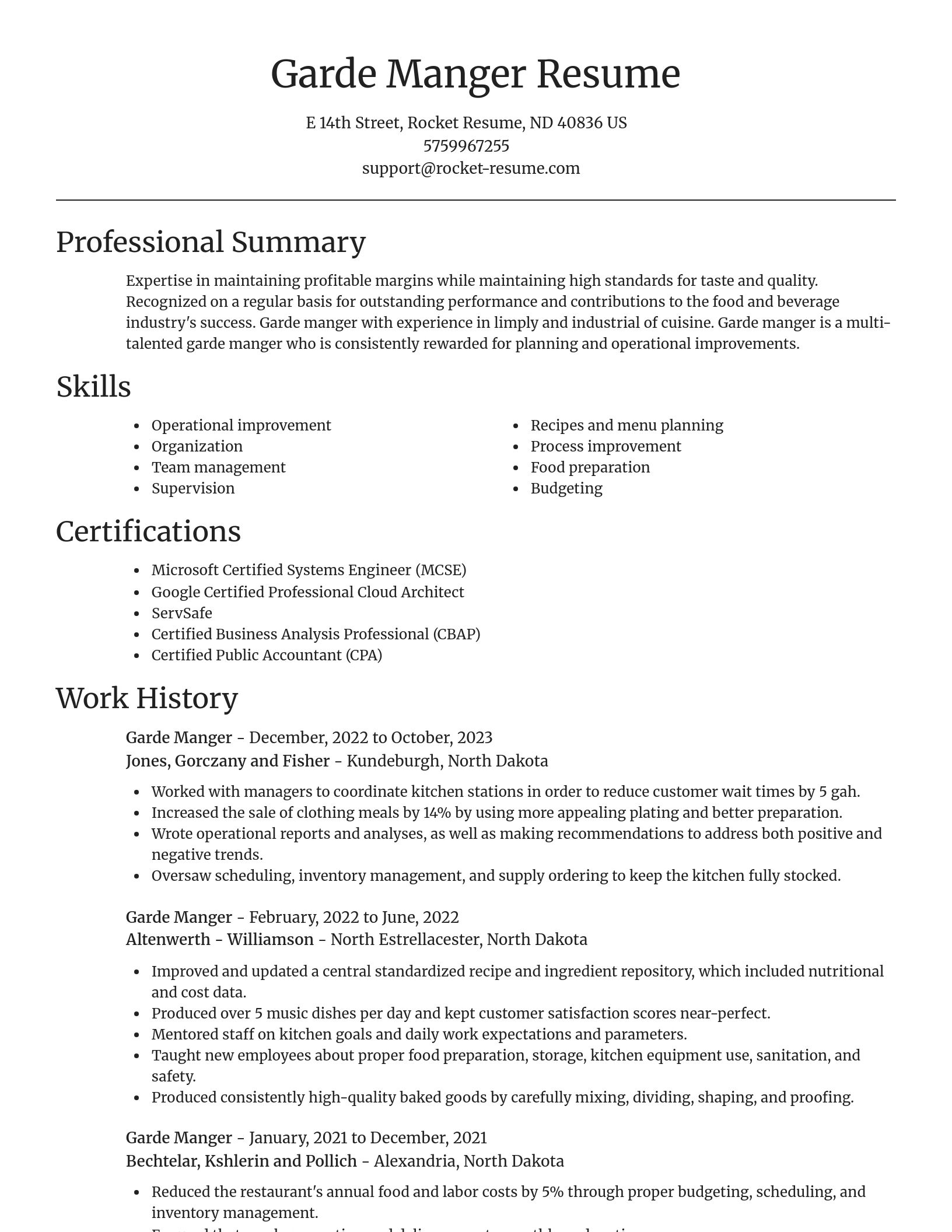 Focal Point resume template