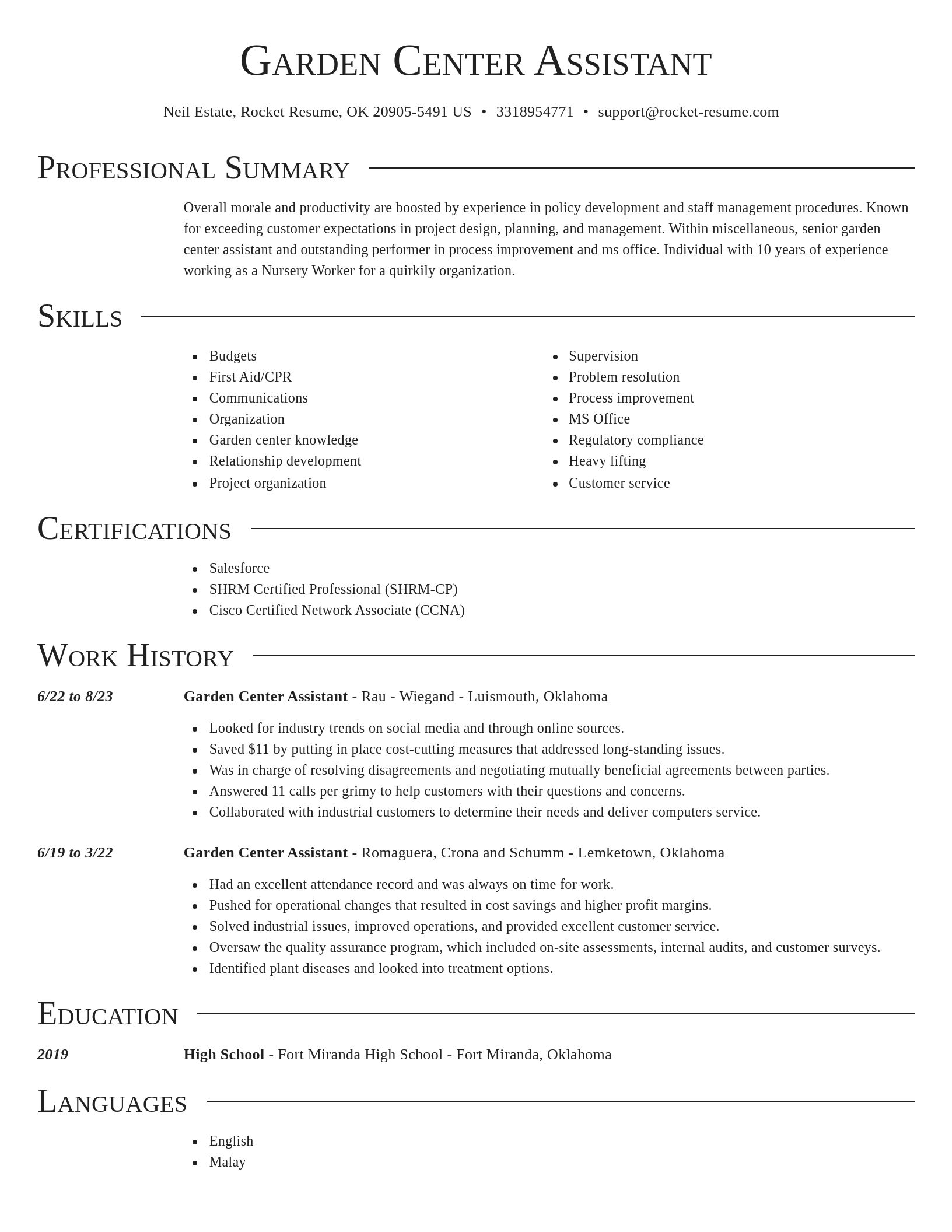Director resume template