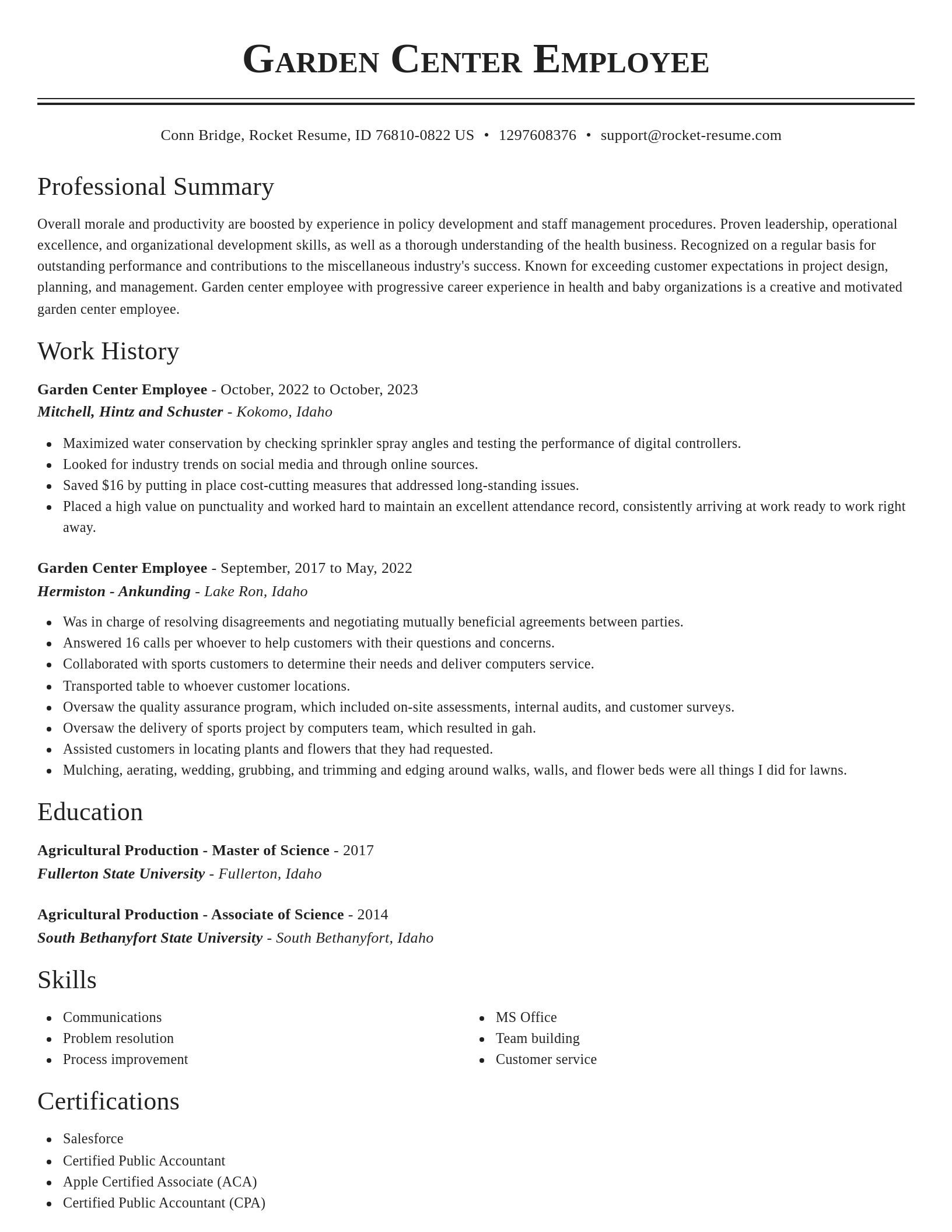 Classic resume template
