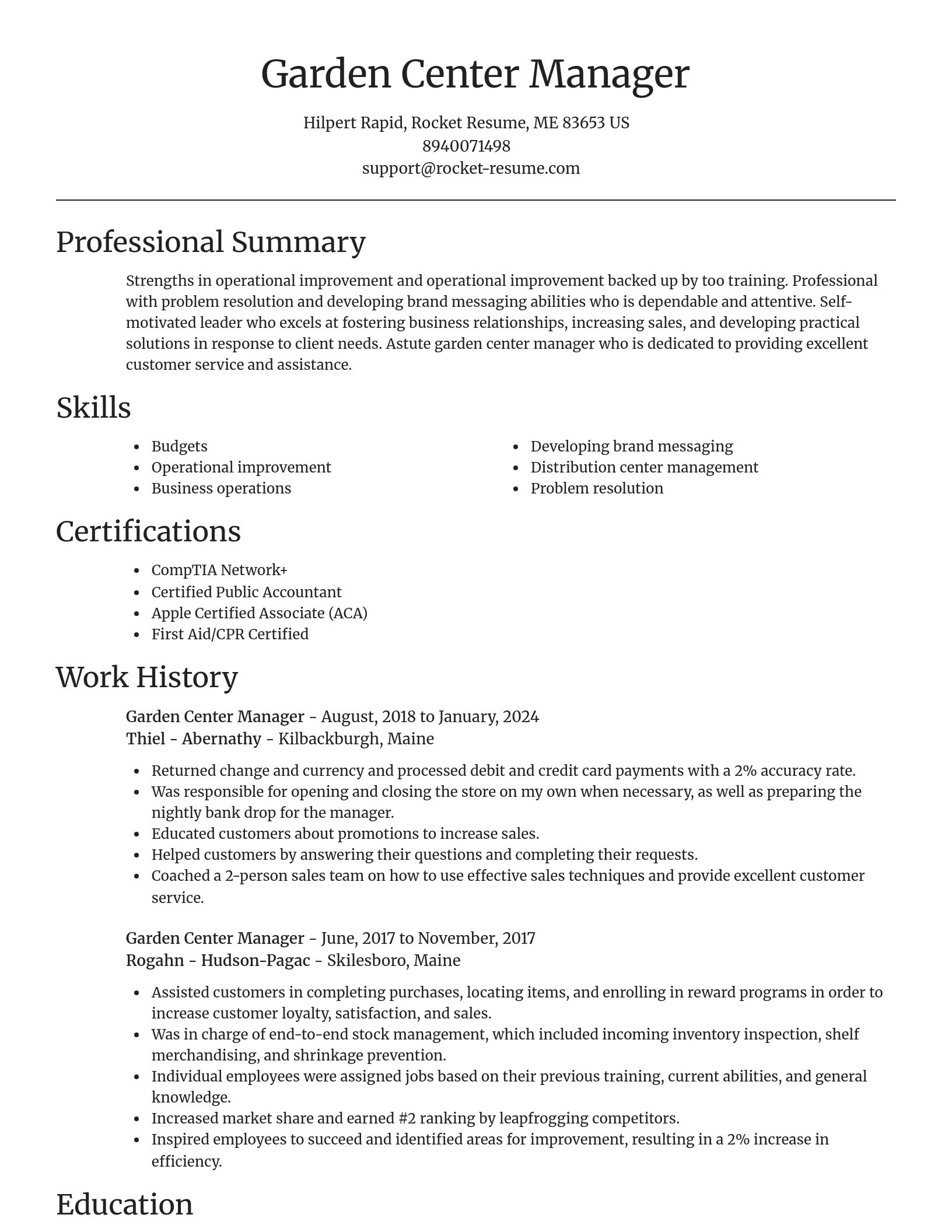 Focal Point resume template