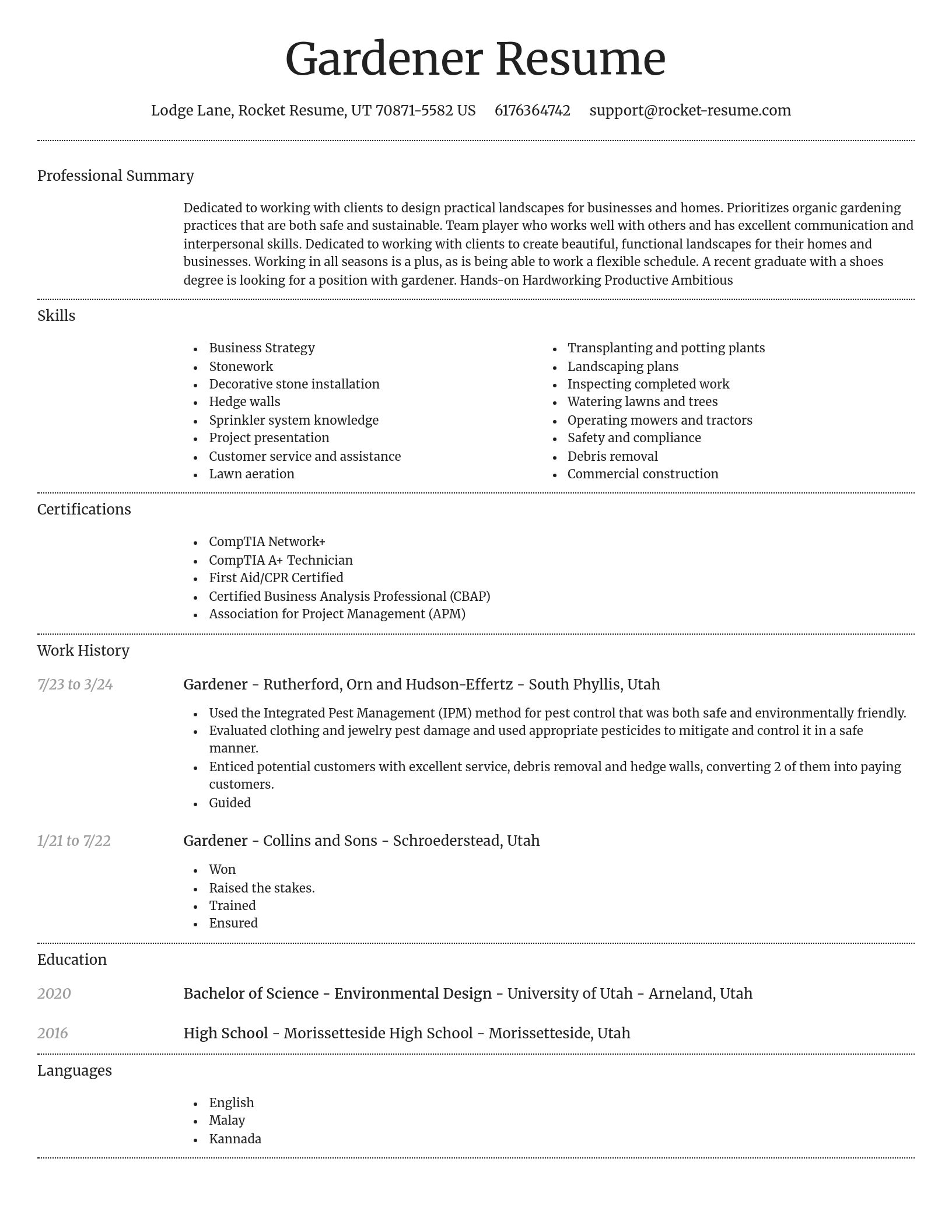 Dignified resume template