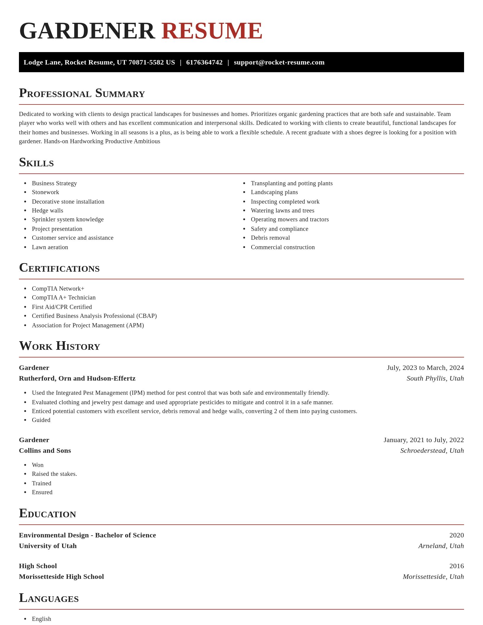 Exquisite resume template