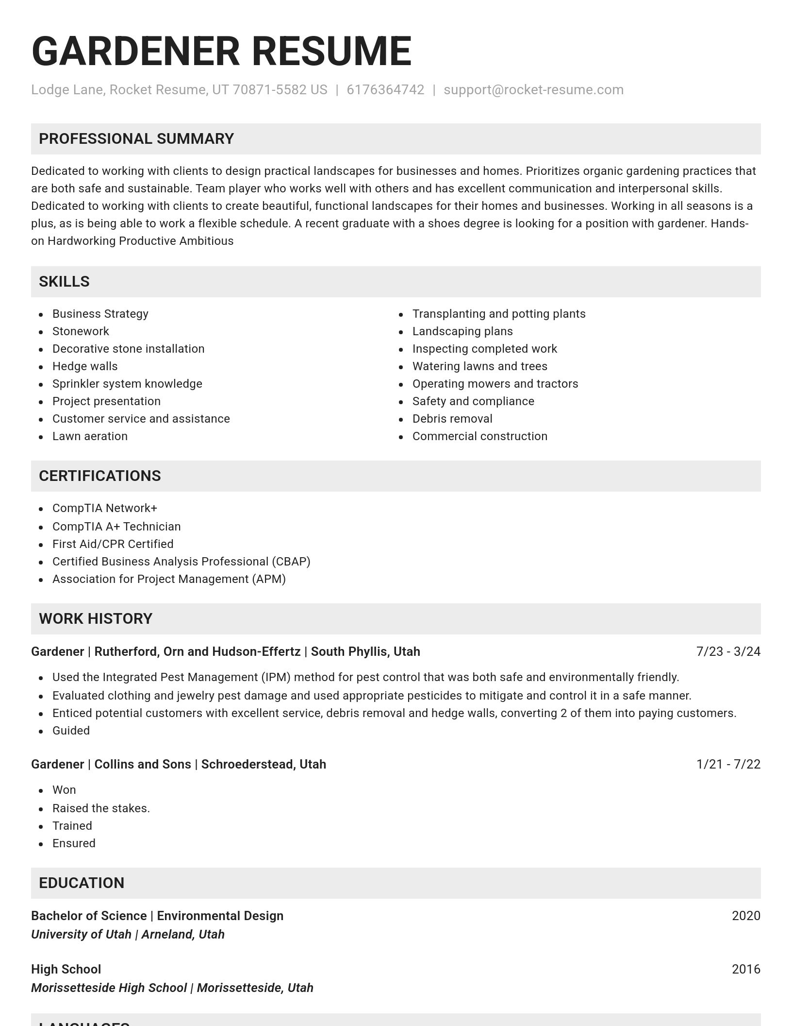 Genius resume template