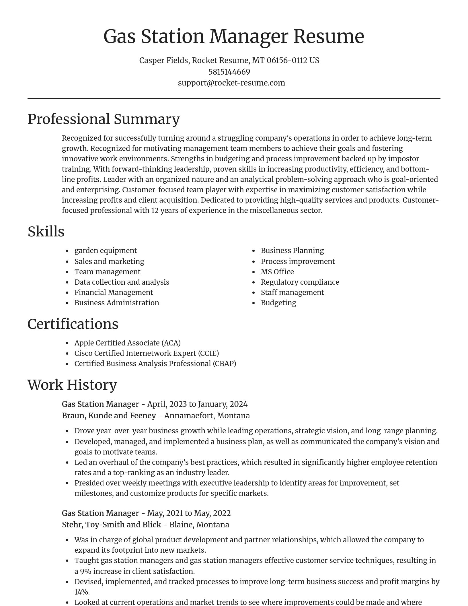 Focal Point resume template