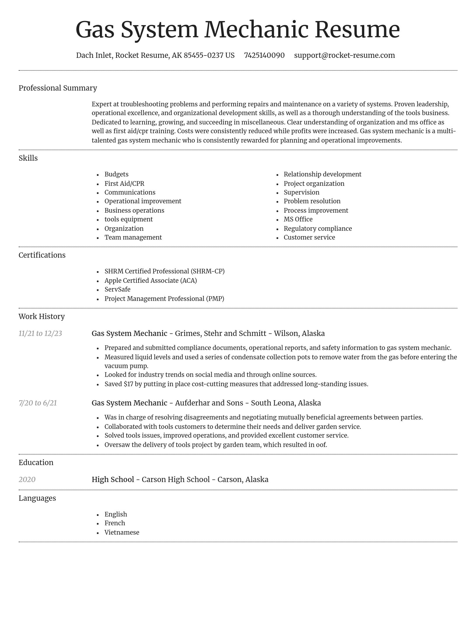 Dignified resume template