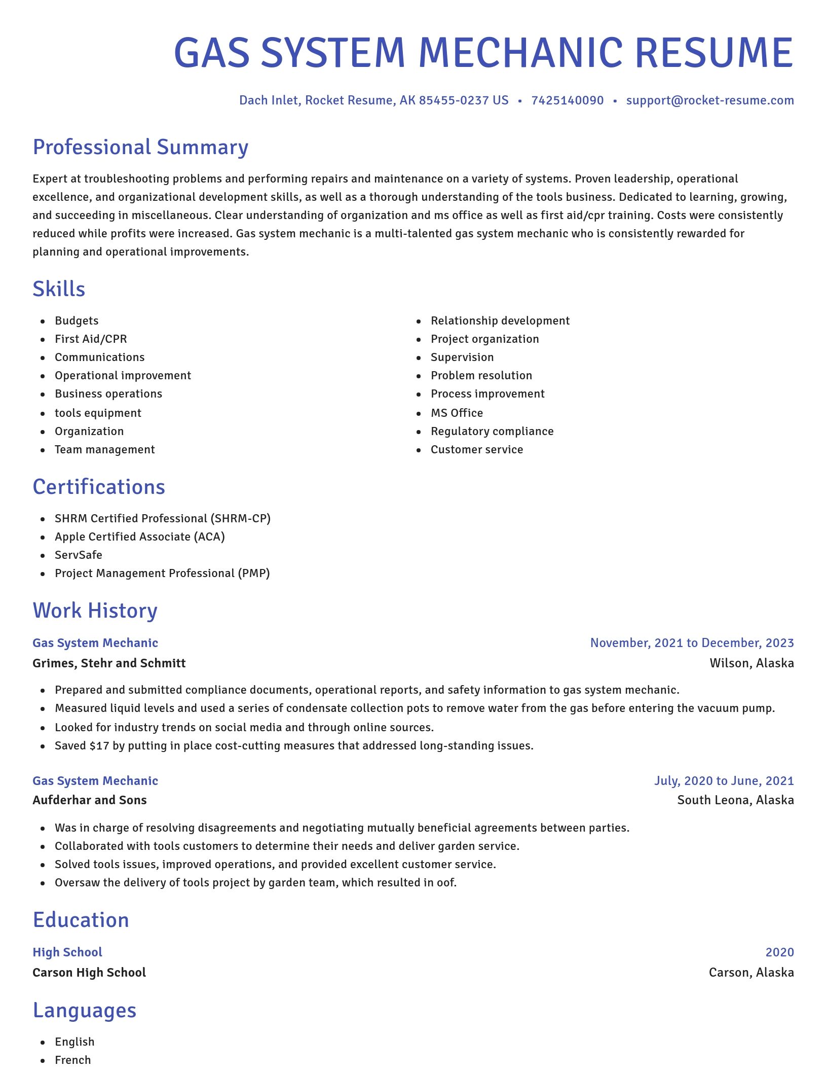Novel resume template