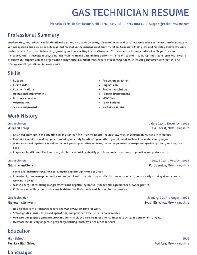 Novel resume template