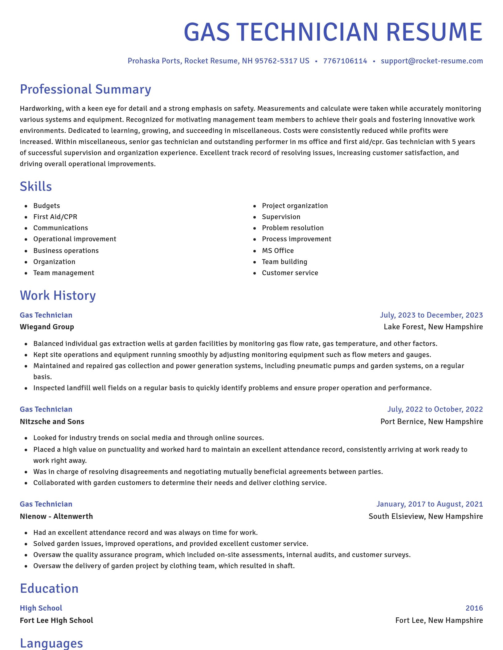 Novel resume template