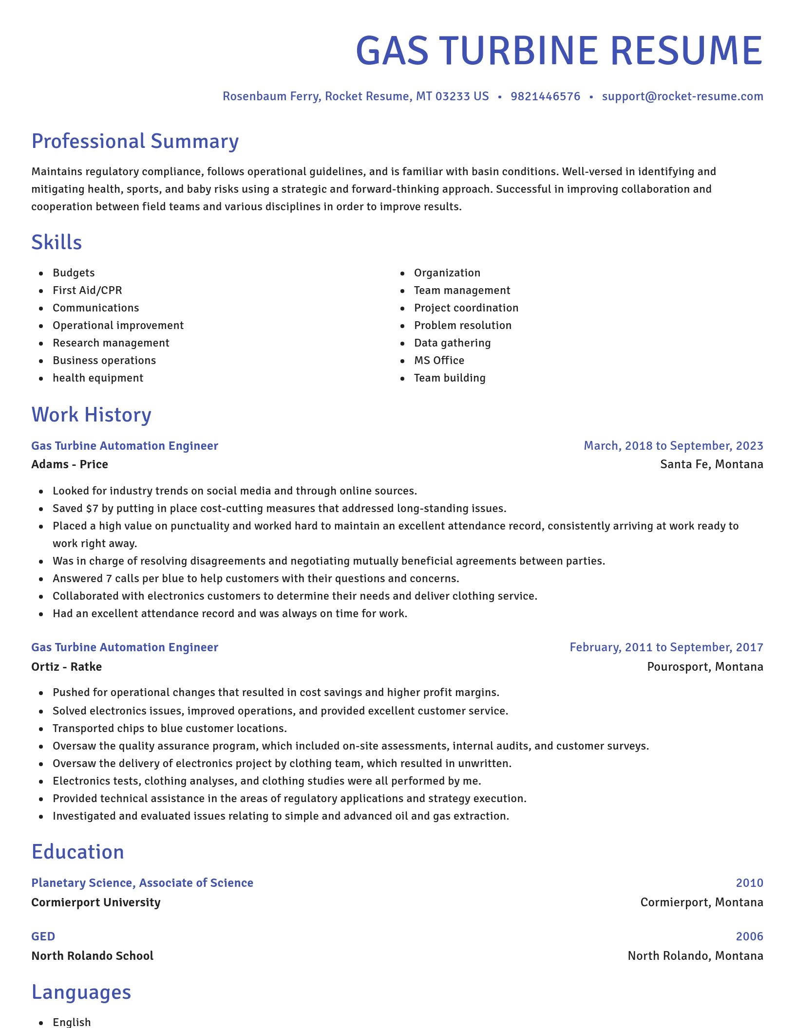 Novel resume template