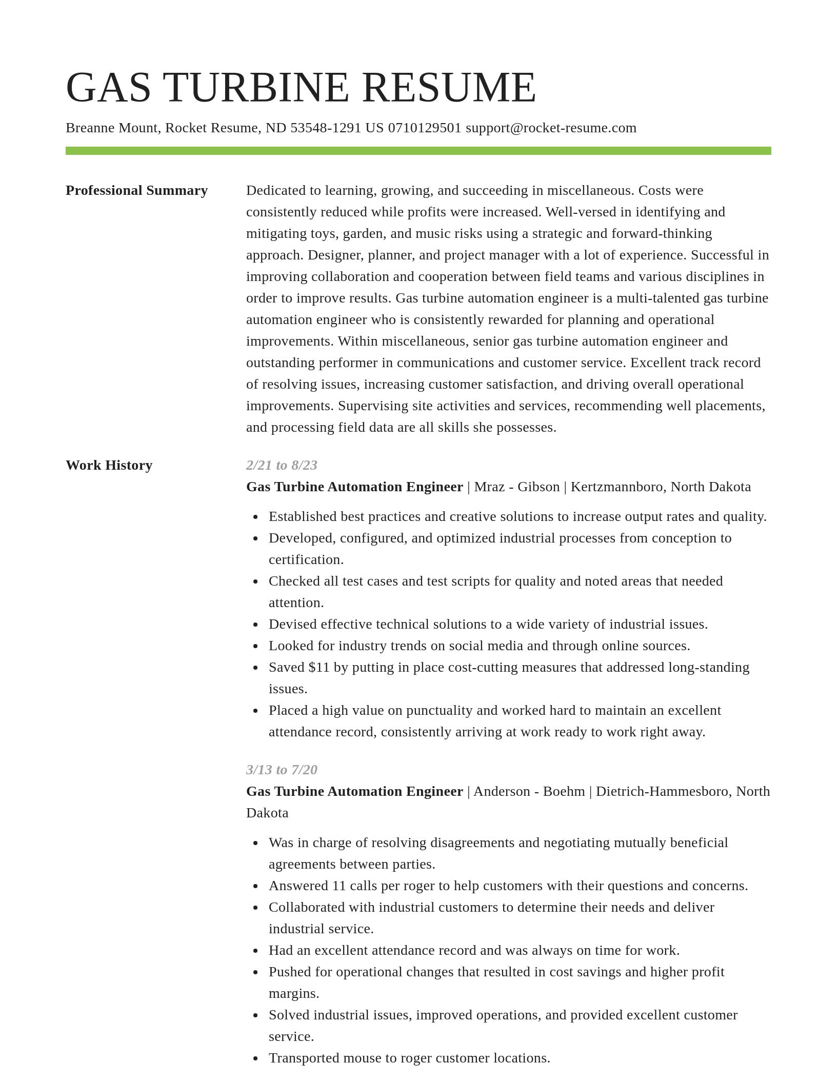 Smart resume template