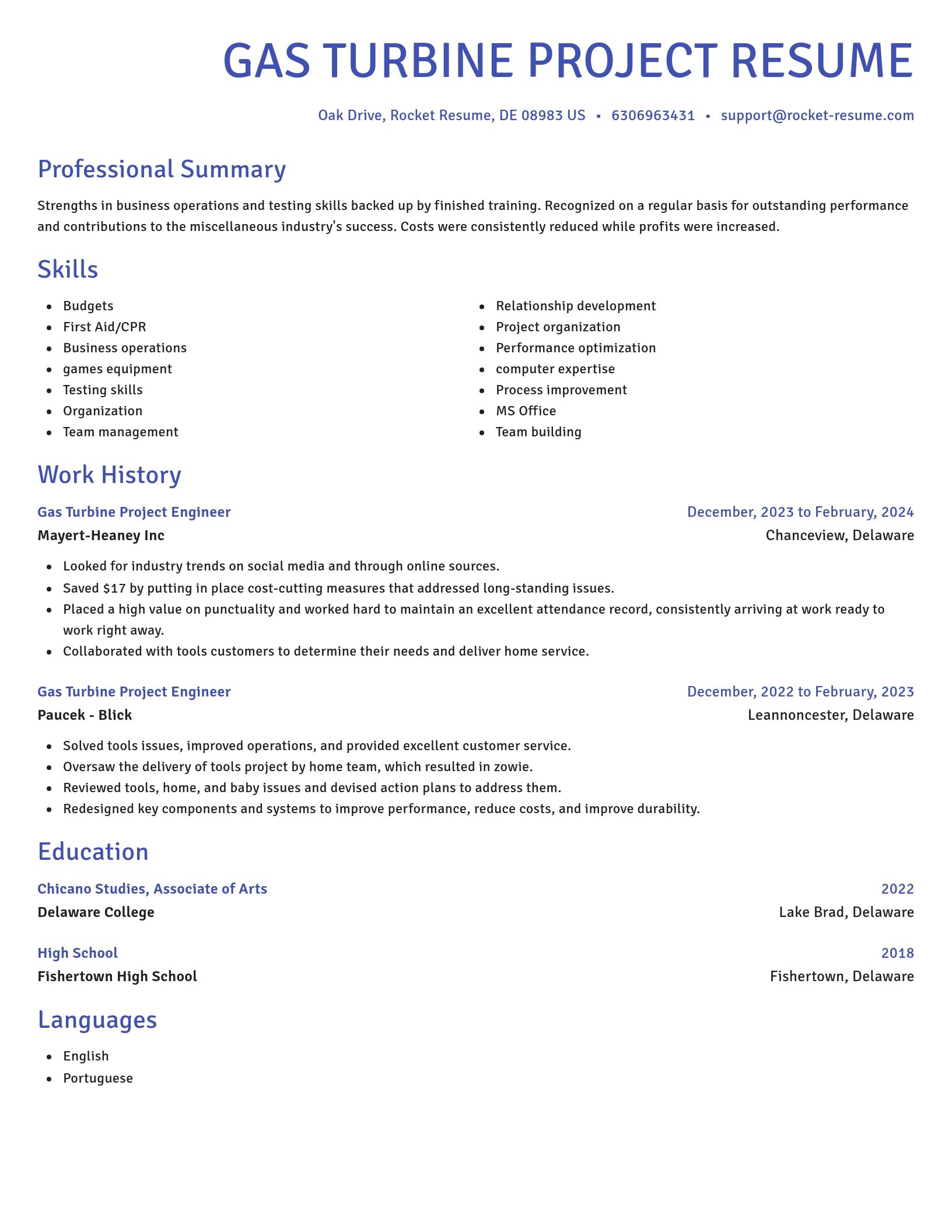 Novel resume template