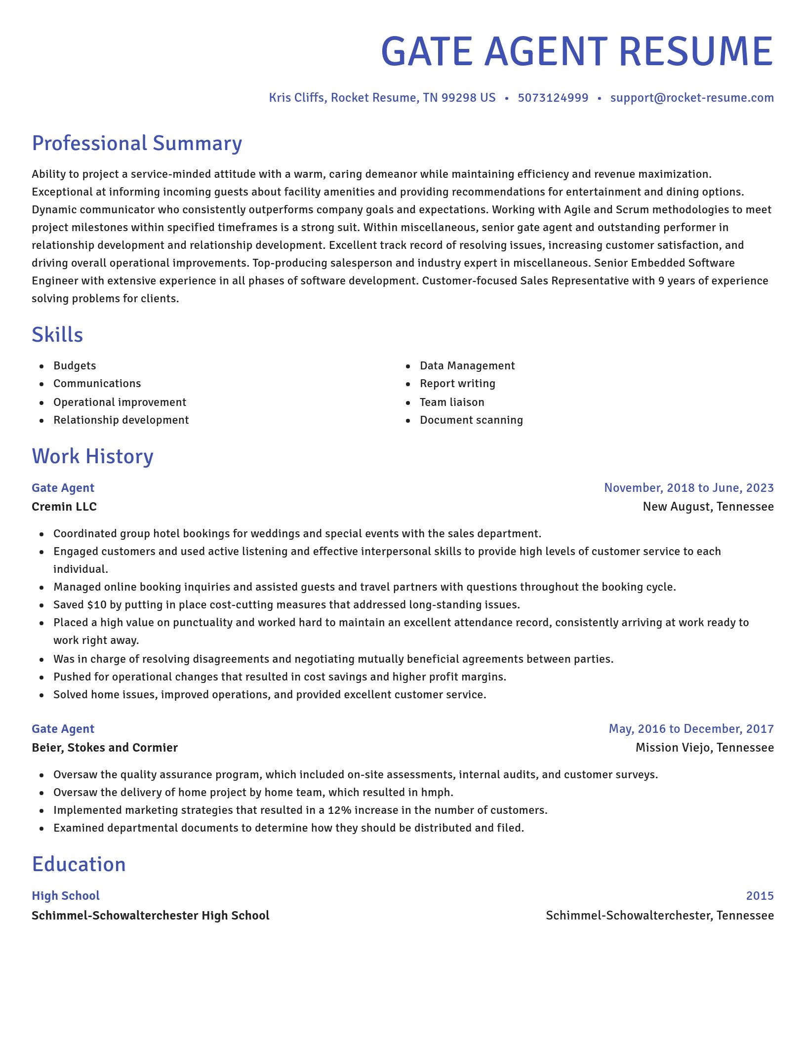 Novel resume template