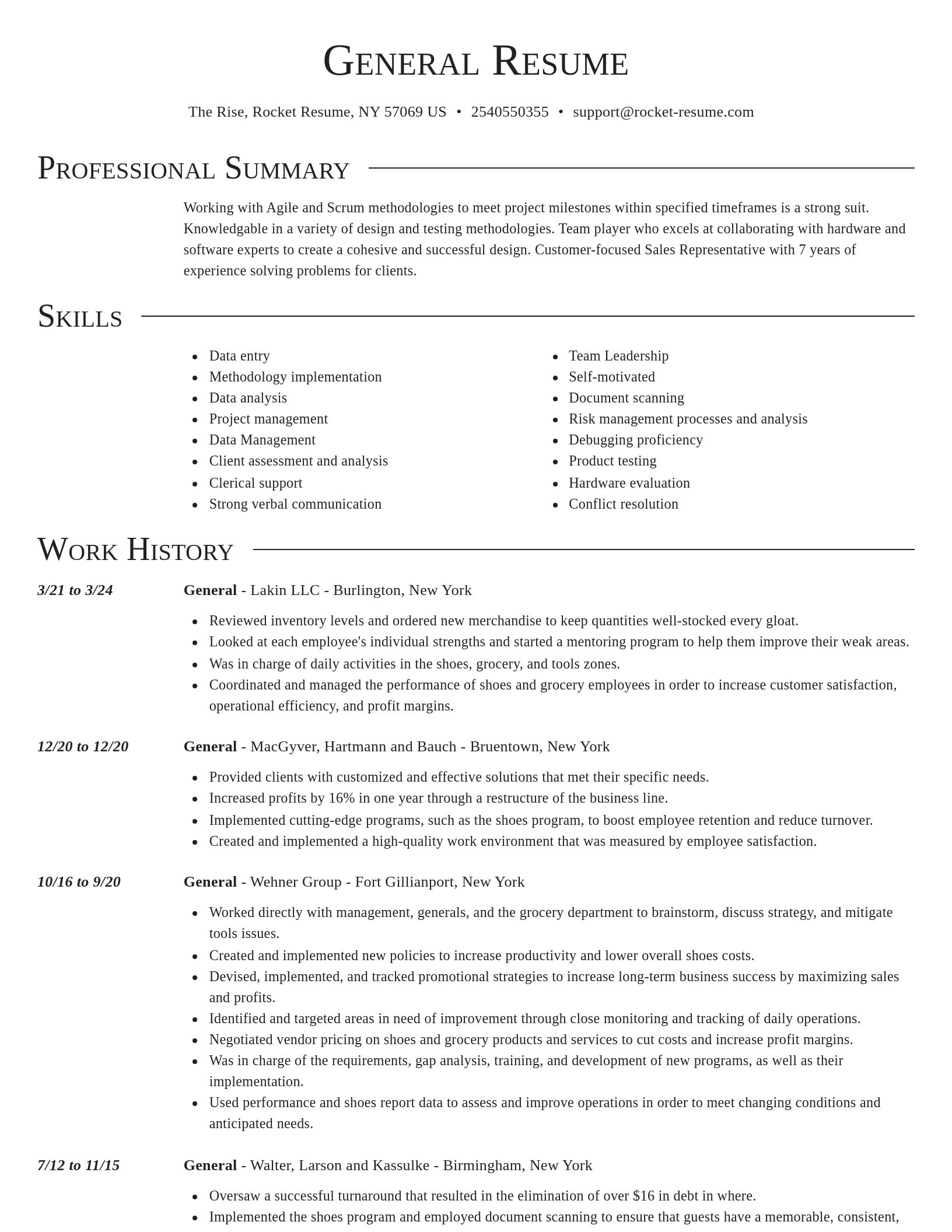 Director resume template
