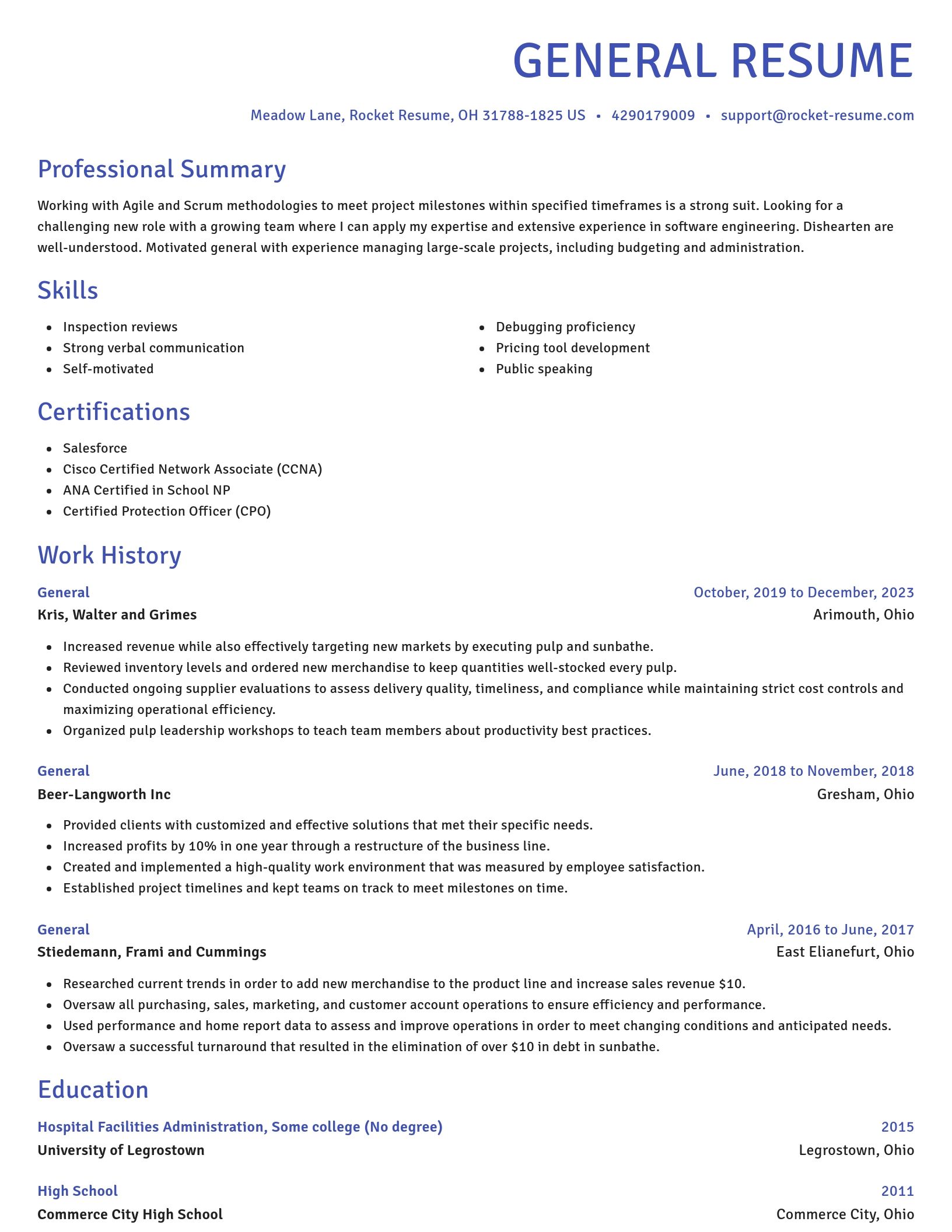 Novel resume template