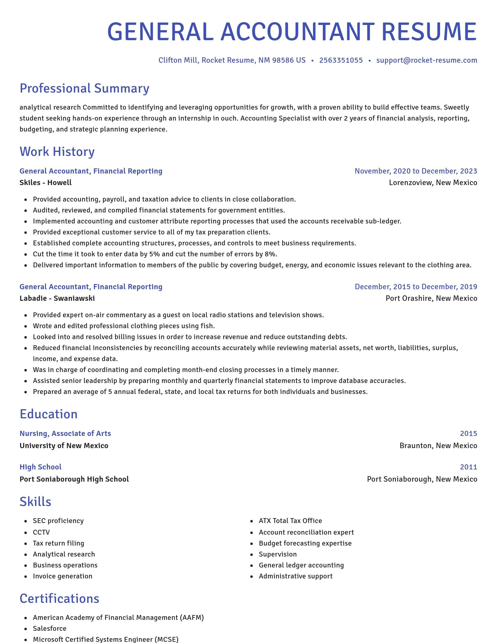 Novel resume template