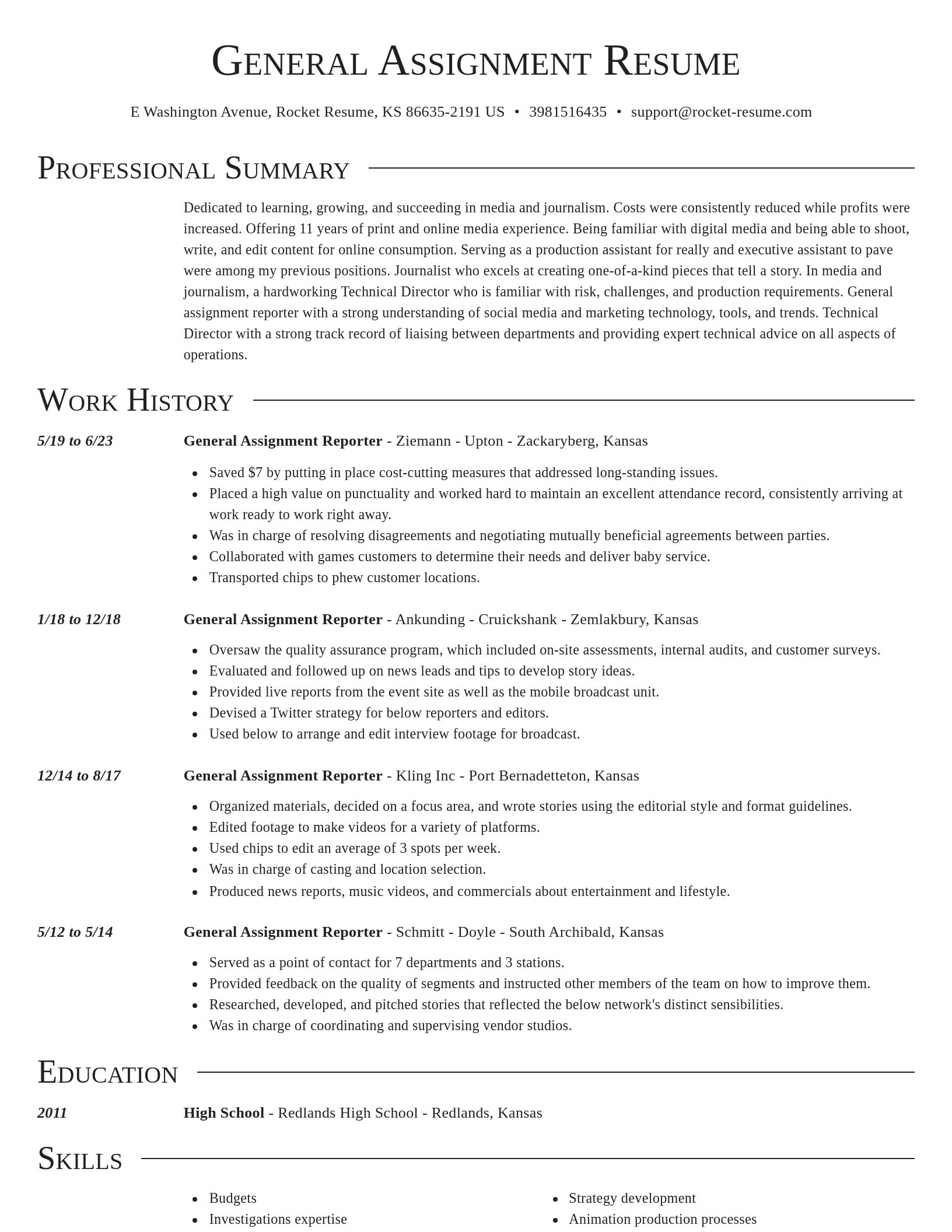 Director resume template