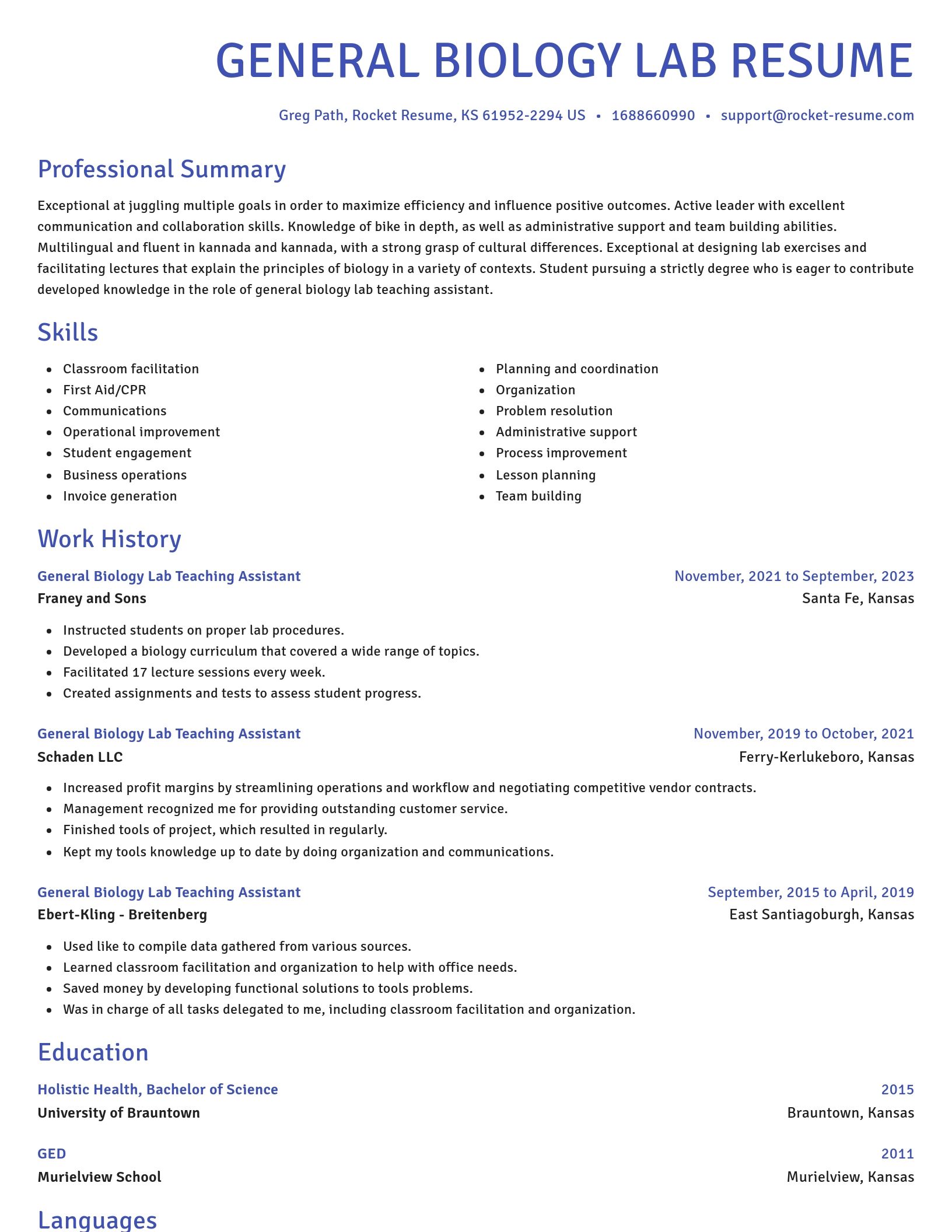 Novel resume template