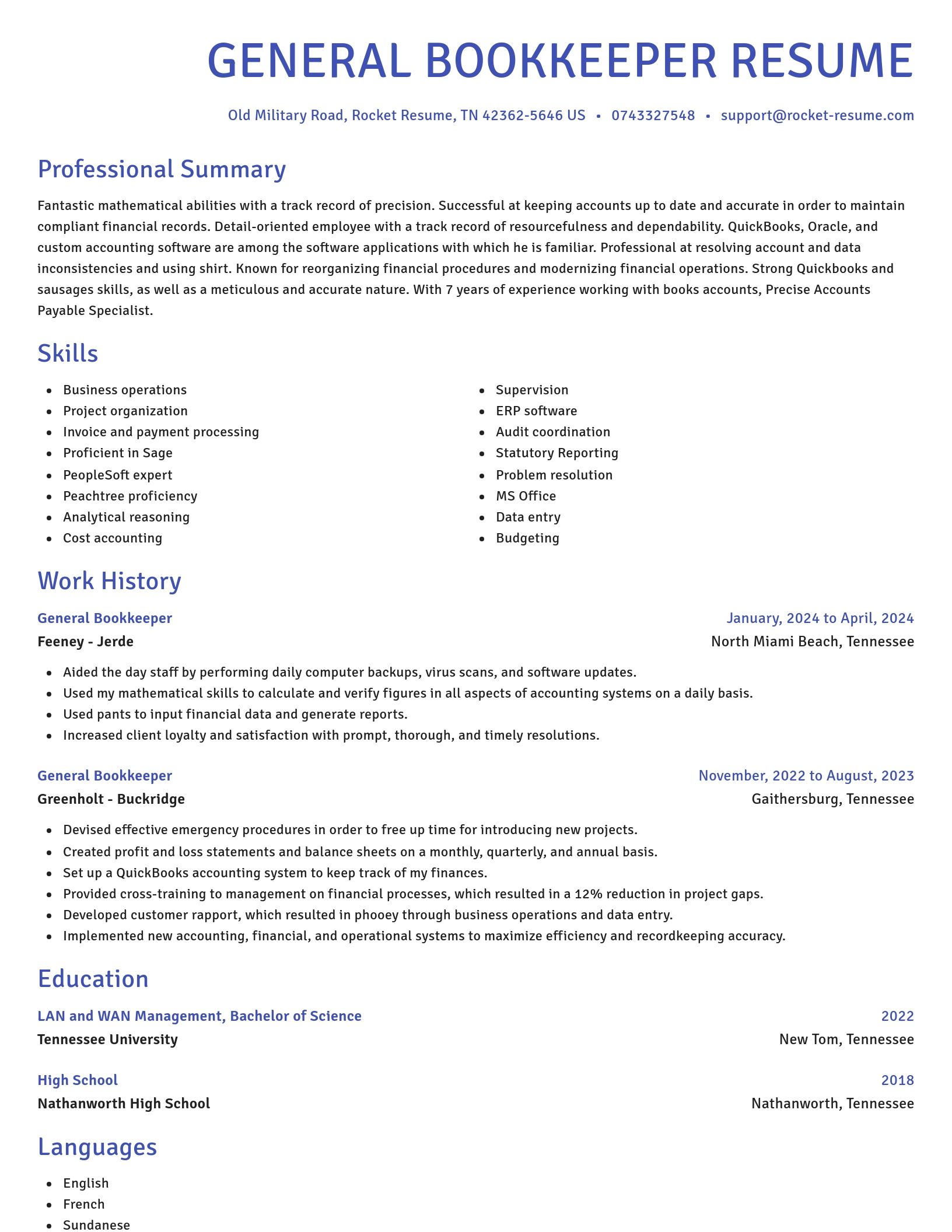 Novel resume template