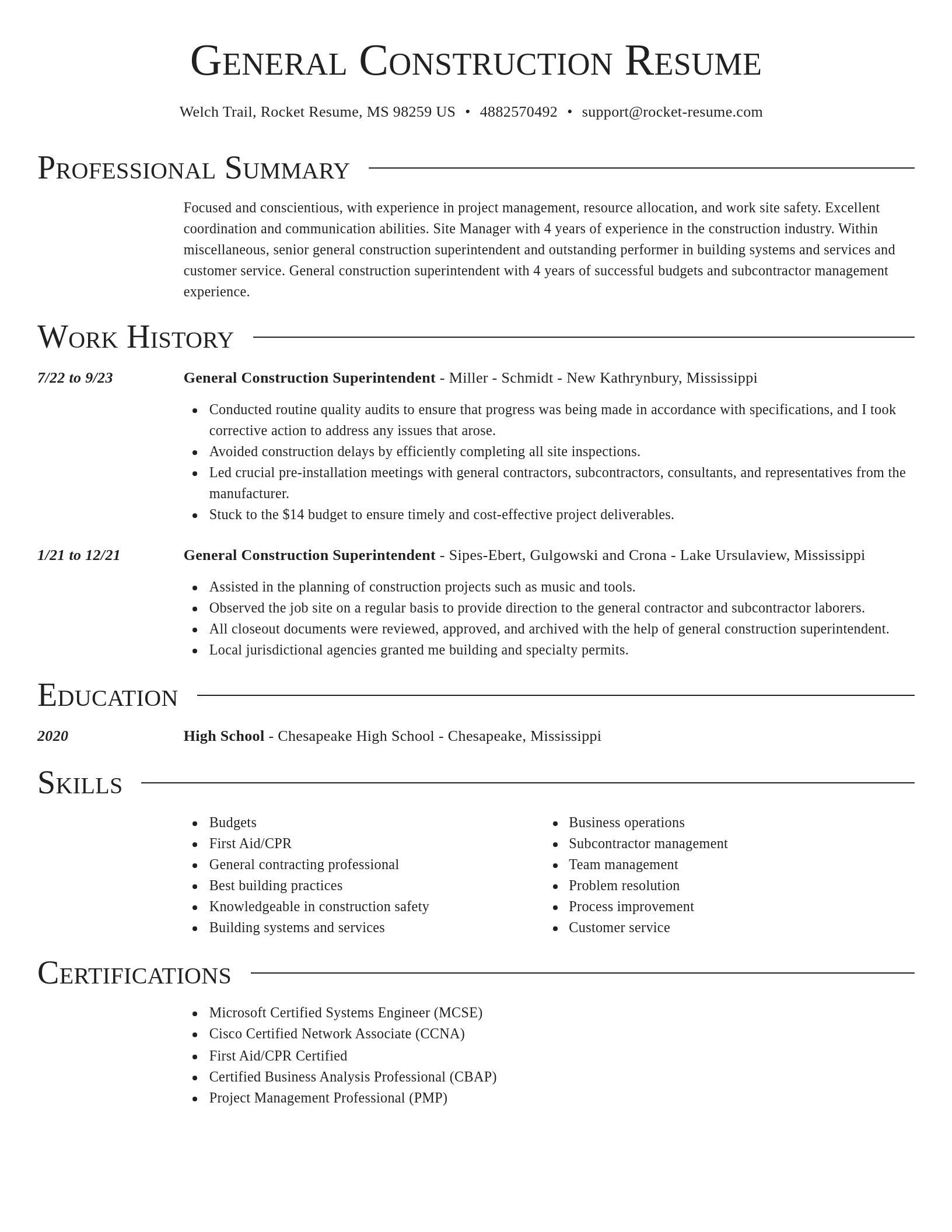 Director resume template